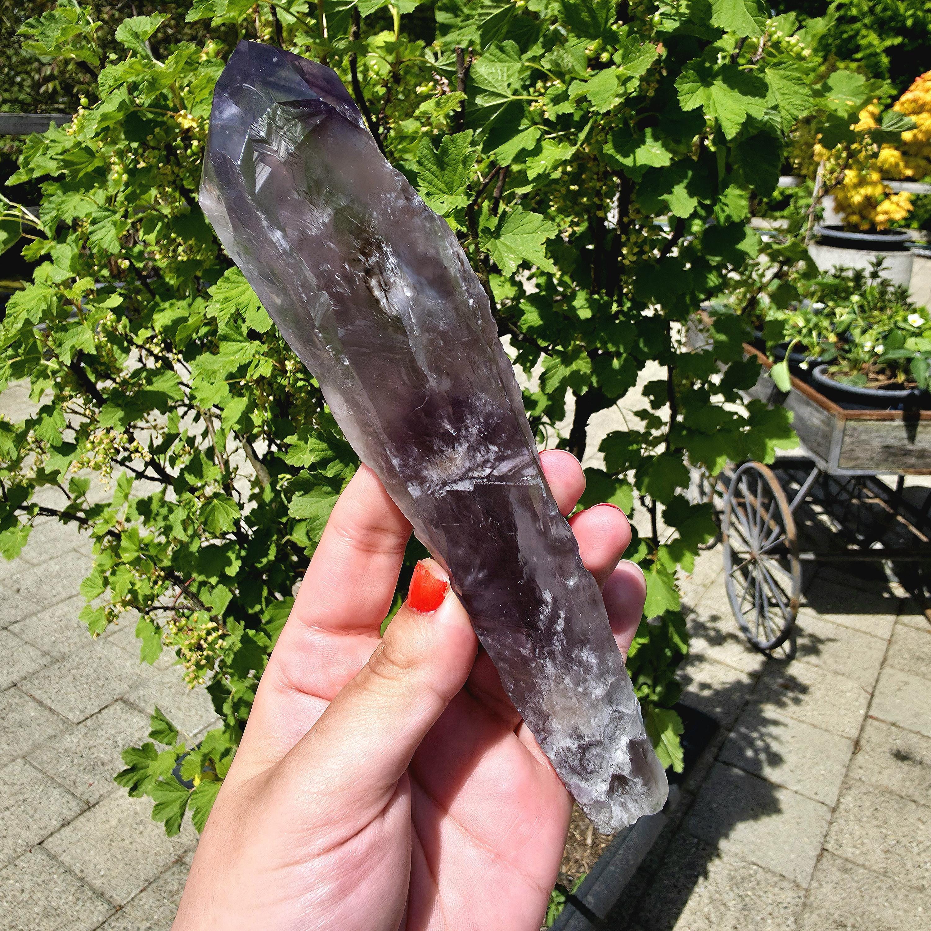 Bahia Amethyst Root Dragon Tooth | Raw Amethyst Point | Purple Quartz Crystal Specimen
