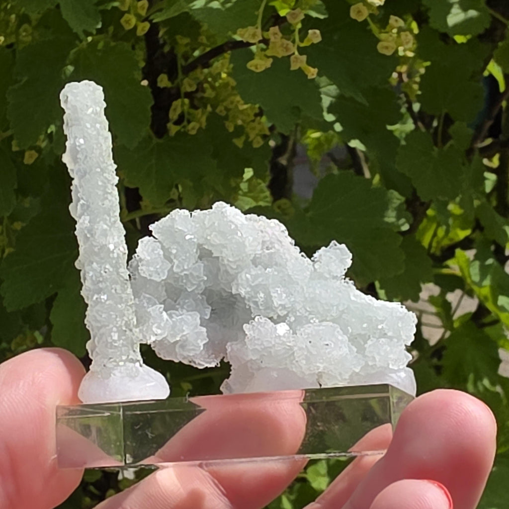 Stalactitic Apophyllite Cluster | Druzy Apophyllite Formation | Rare Columnar Apophyllite Specimen | Sparkling Mineral Decor
