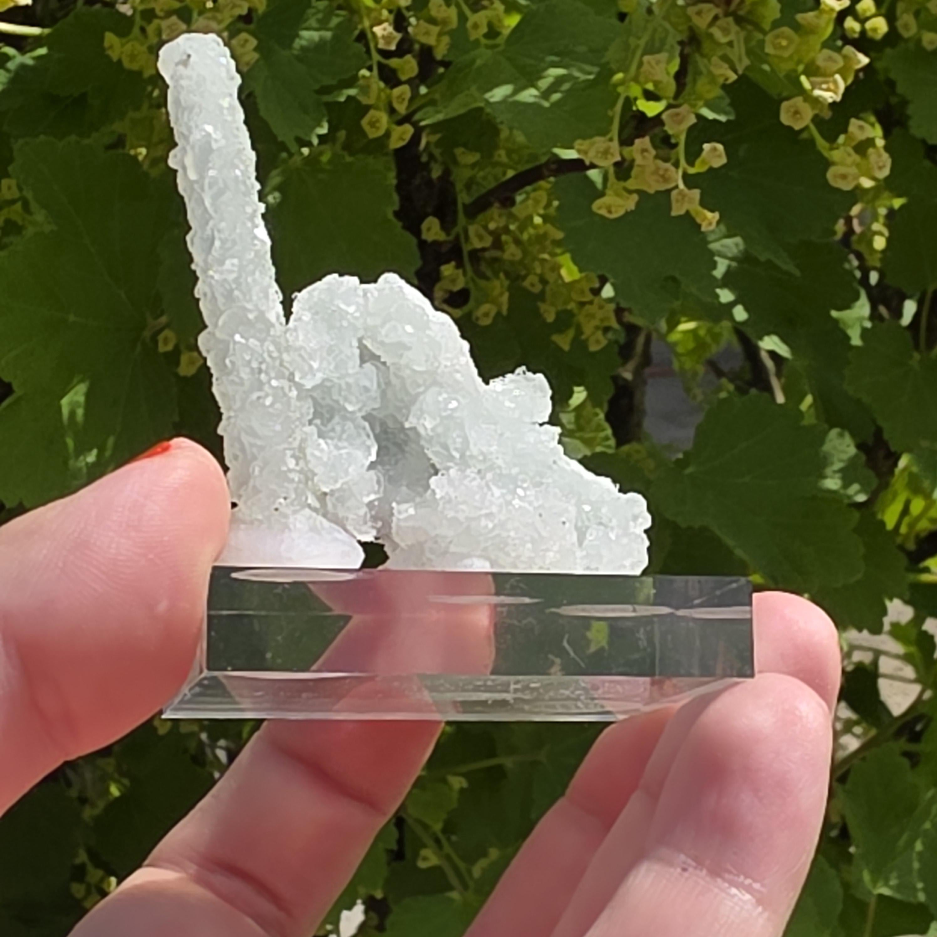Stalactitic Apophyllite Cluster | Druzy Apophyllite Formation | Rare Columnar Apophyllite Specimen | Sparkling Mineral Decor