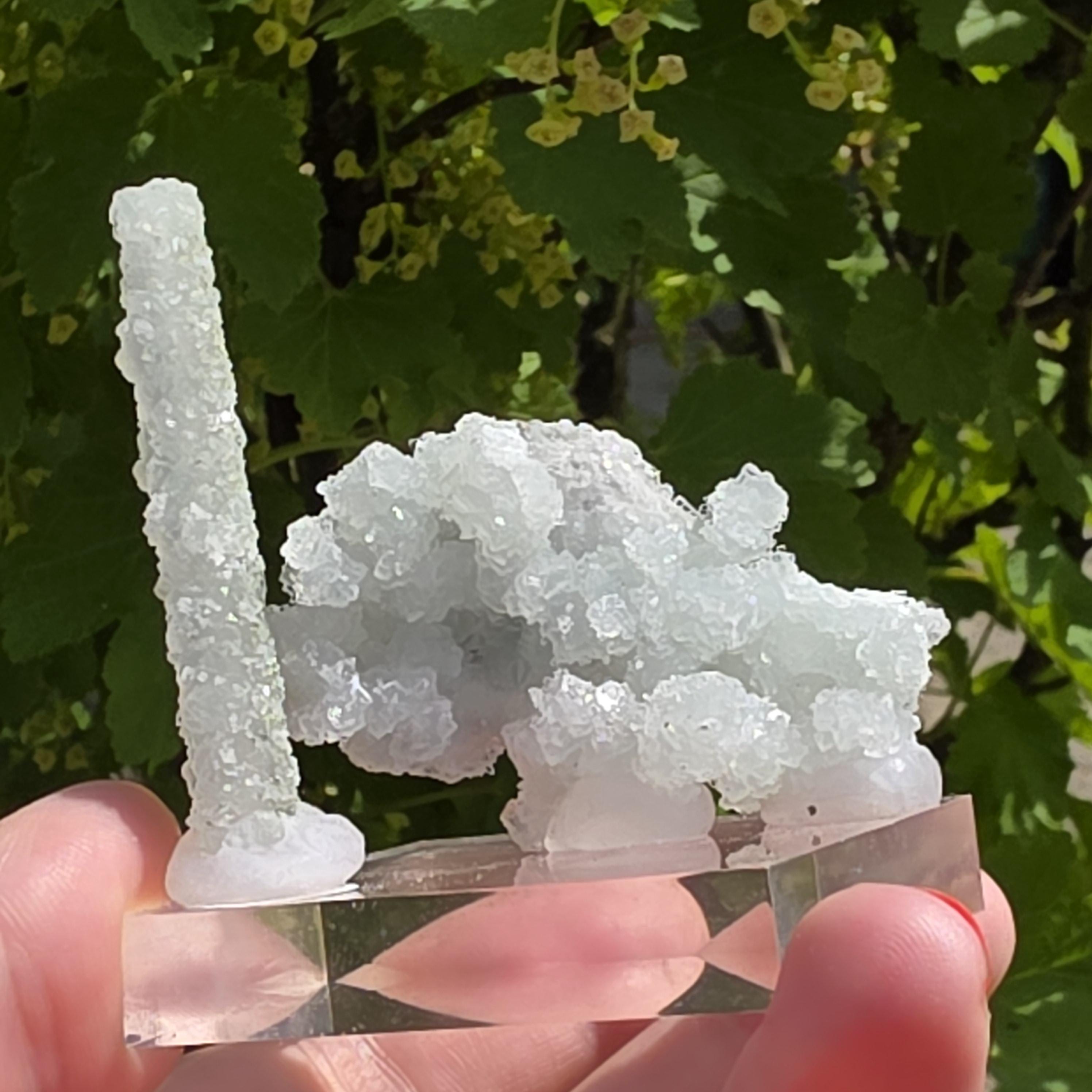 Stalactitic Apophyllite Cluster | Druzy Apophyllite Formation | Rare Columnar Apophyllite Specimen | Sparkling Mineral Decor