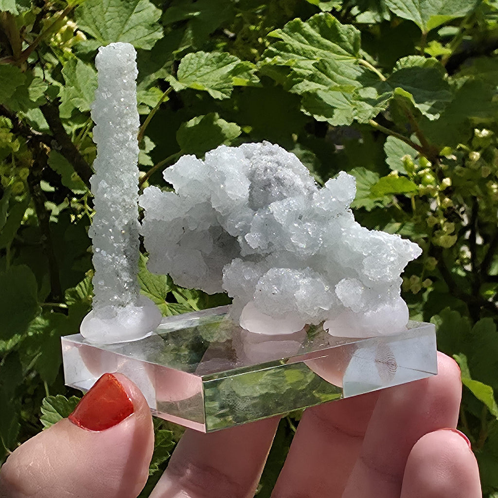 Stalactitic Apophyllite Cluster | Druzy Apophyllite Formation | Rare Columnar Apophyllite Specimen | Sparkling Mineral Decor