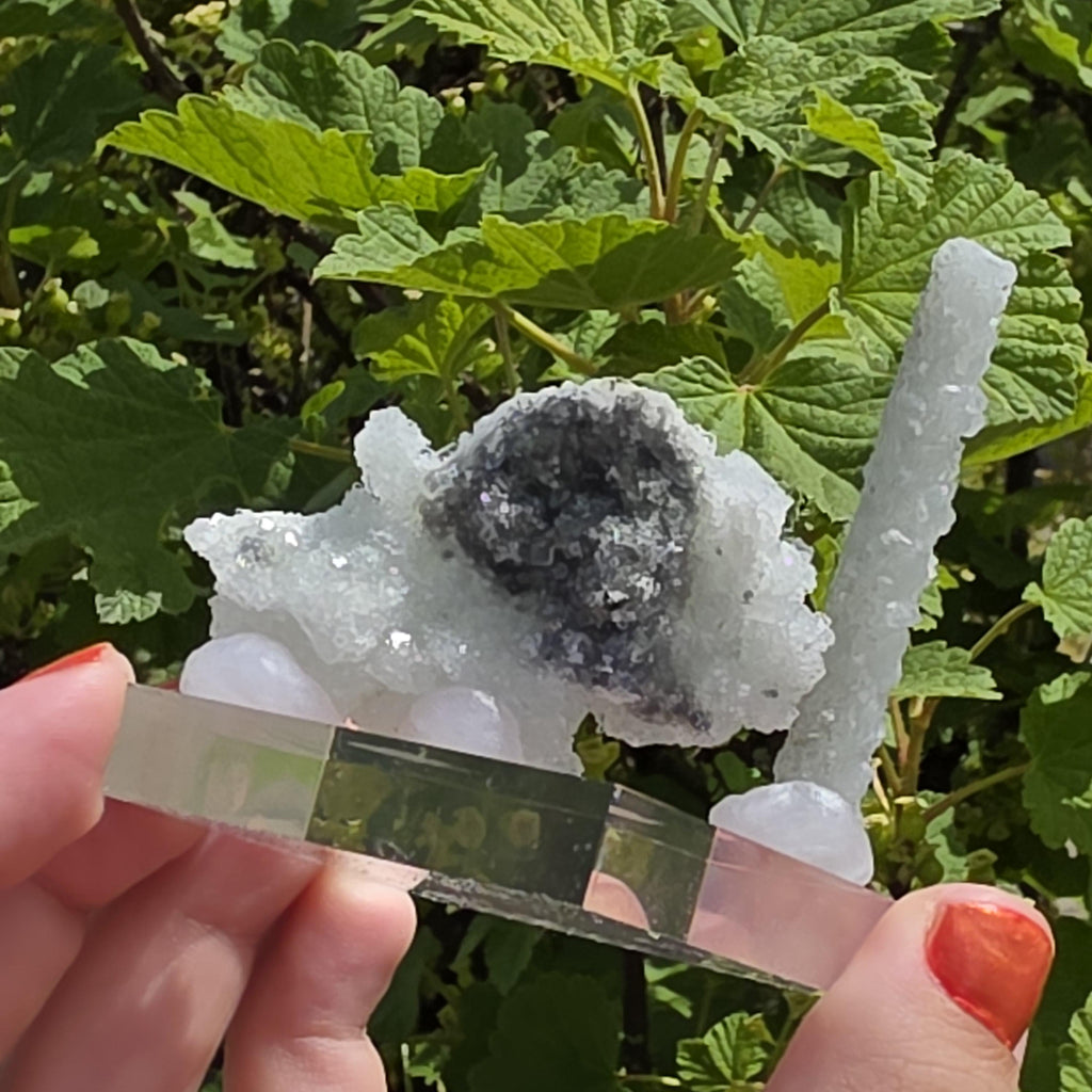 Stalactitic Apophyllite Cluster | Druzy Apophyllite Formation | Rare Columnar Apophyllite Specimen | Sparkling Mineral Decor