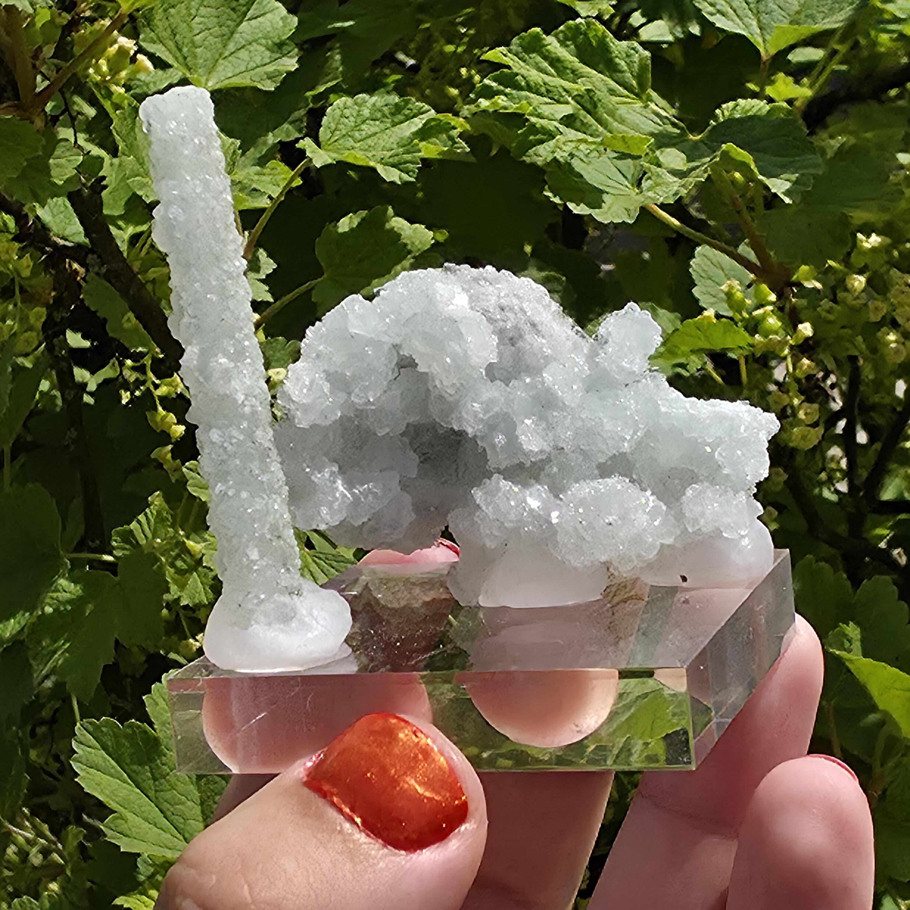 Stalactitic Apophyllite Cluster | Druzy Apophyllite Formation | Rare Columnar Apophyllite Specimen | Sparkling Mineral Decor