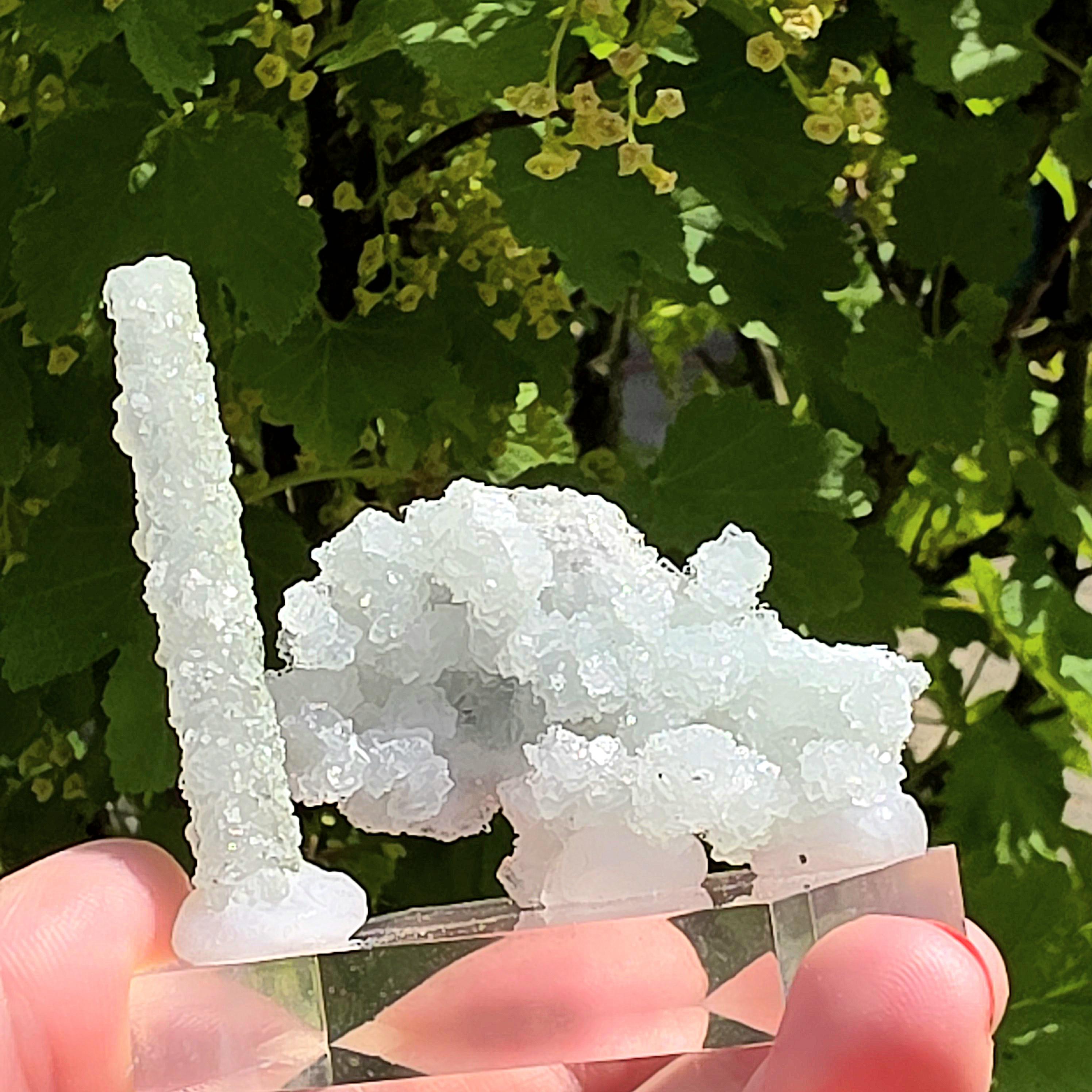 Stalactitic Apophyllite Cluster | Druzy Apophyllite Formation | Rare Columnar Apophyllite Specimen | Sparkling Mineral Decor
