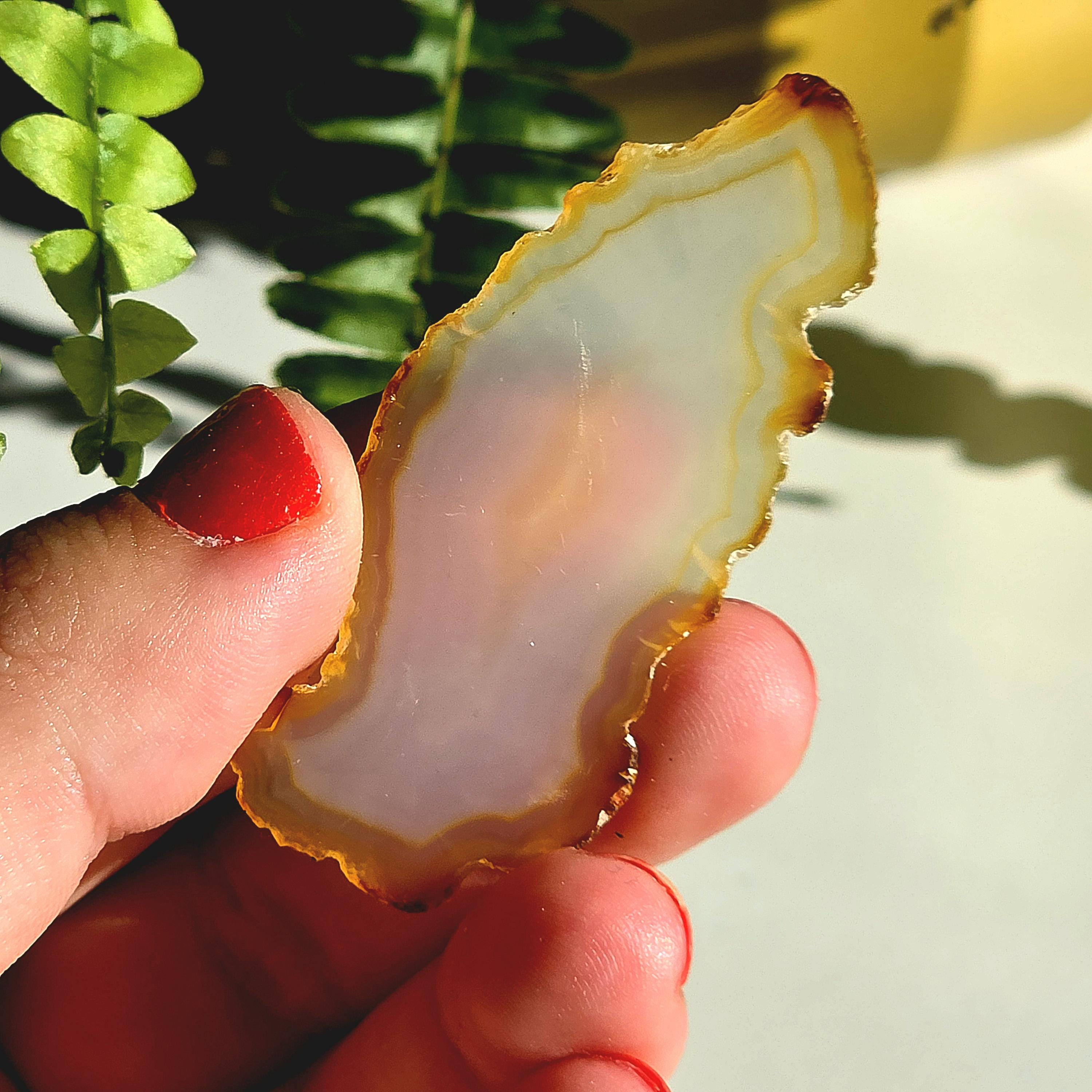 Natural Iris Agate Slice | Rainbow Agate Slice | Flashy Banded Agate | Collector Crystal | Small Agate Specimen