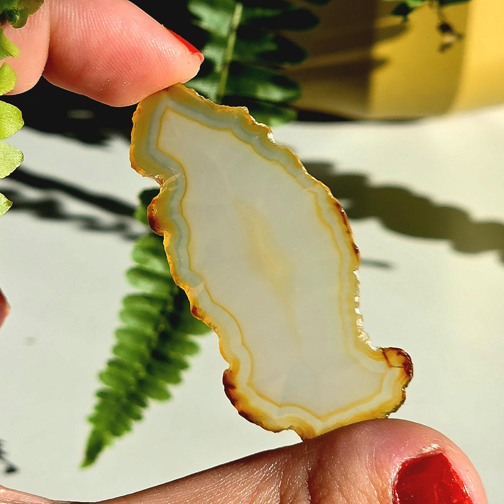 Natural Iris Agate Slice | Rainbow Agate Slice | Flashy Banded Agate | Collector Crystal | Small Agate Specimen