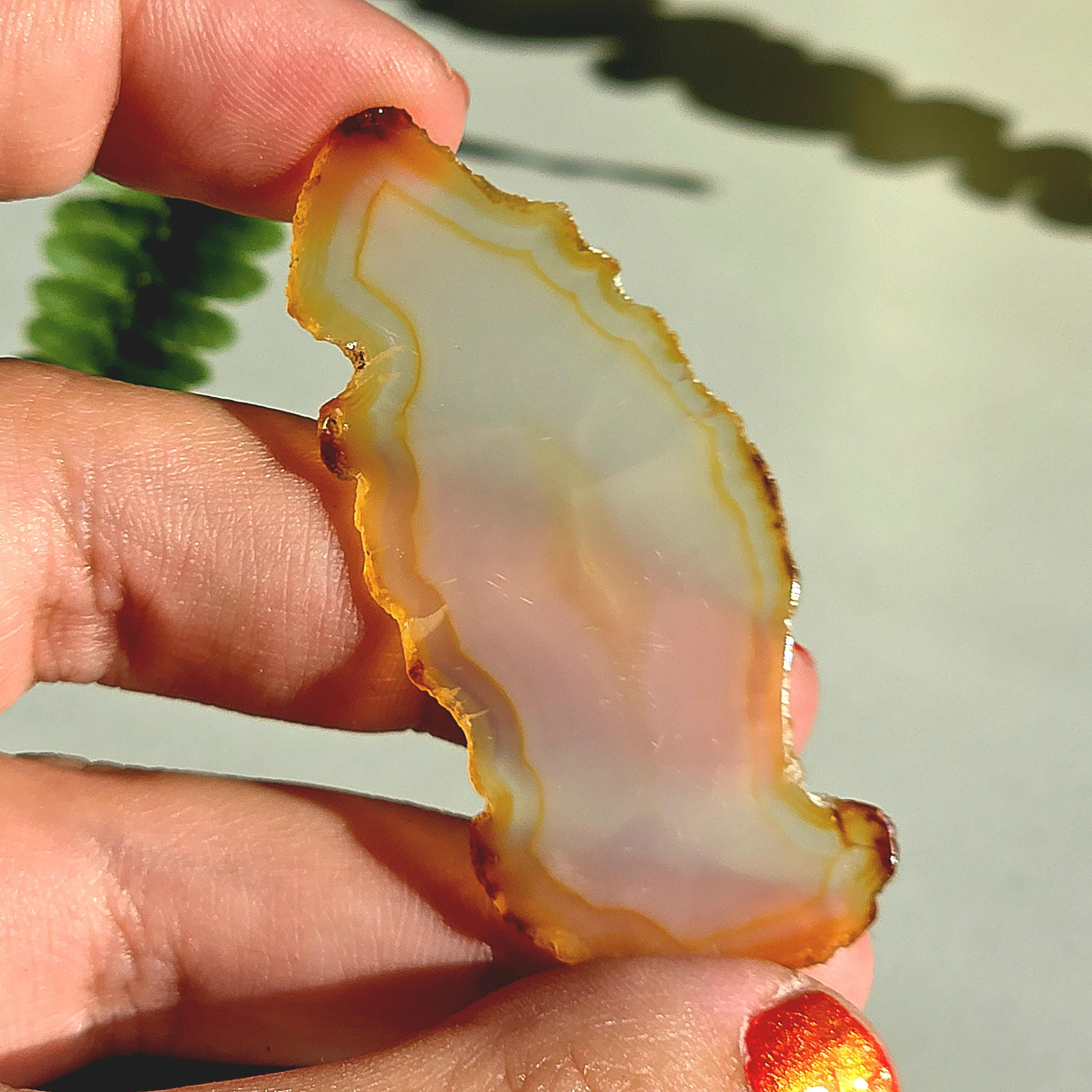 Natural Iris Agate Slice | Rainbow Agate Slice | Flashy Banded Agate | Collector Crystal | Small Agate Specimen