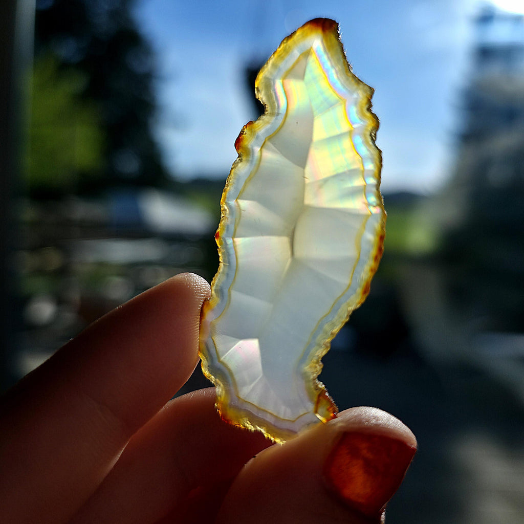 Natural Iris Agate Slice | Rainbow Agate Slice | Flashy Banded Agate | Collector Crystal | Small Agate Specimen