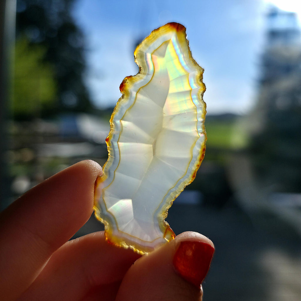 Natural Iris Agate Slice | Rainbow Agate Slice | Flashy Banded Agate | Collector Crystal | Small Agate Specimen