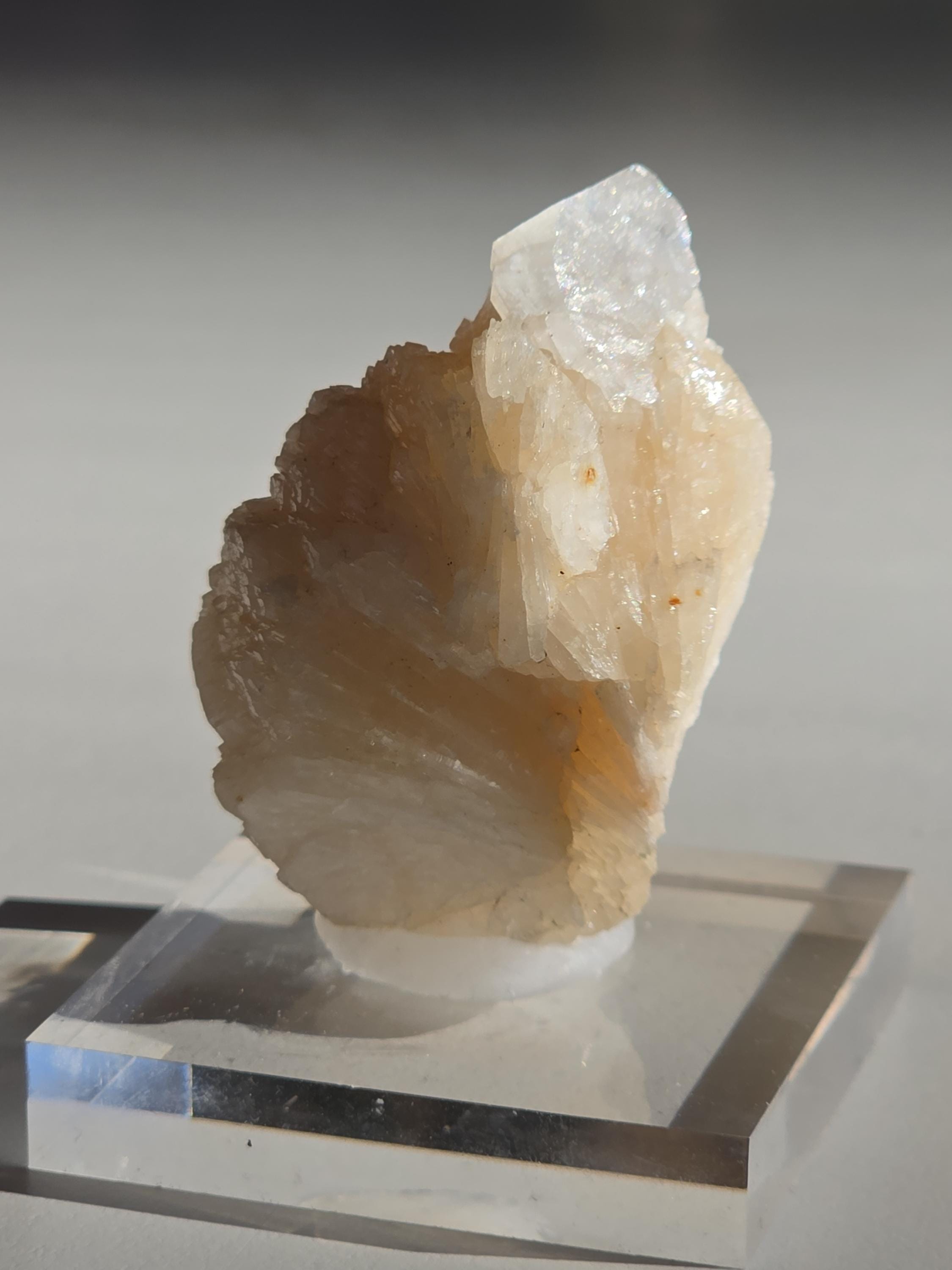 Stilbite Cluster with Apophyllite | Natural Zeolite Crystal Specimen | Collector Mineral Display Decor Gift