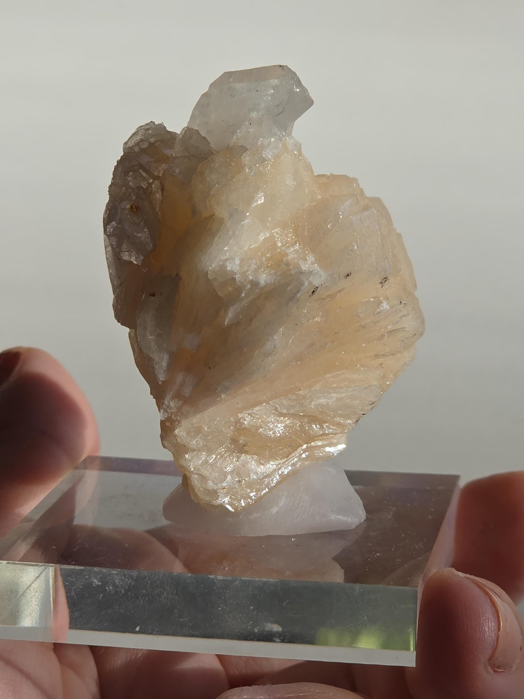Stilbite Cluster with Apophyllite | Natural Zeolite Crystal Specimen | Collector Mineral Display Decor Gift