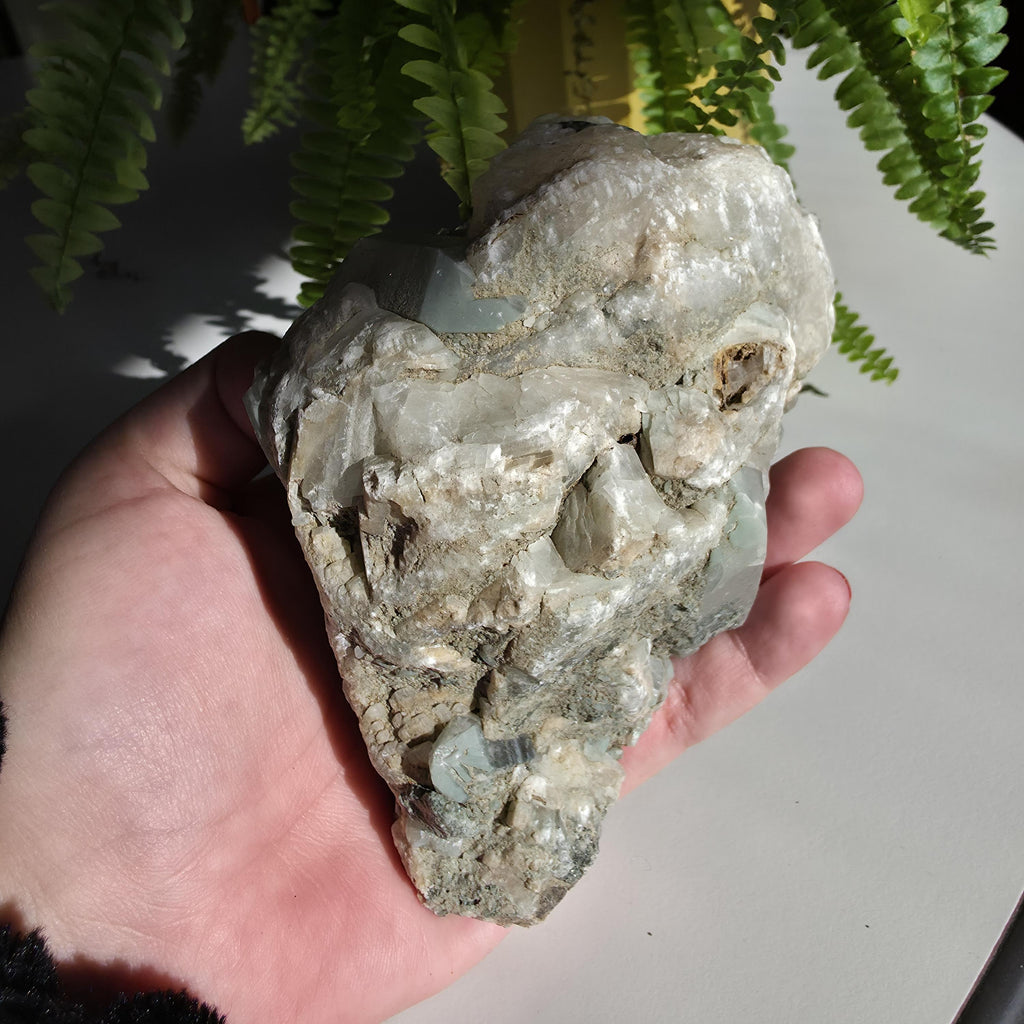 Swiss Alpine Chlorite Quartz Cluster | Green Chlorite Included Quartz | Large Alpine Quartz Specimen | Swiss Alps