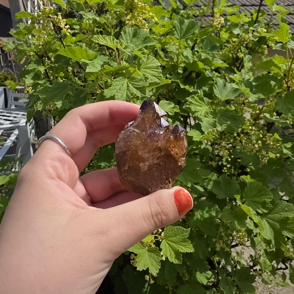 Natural Bolivian Ametrine Specimen | Raw Purple Gold Crystal | Collector Mineral Display Decor