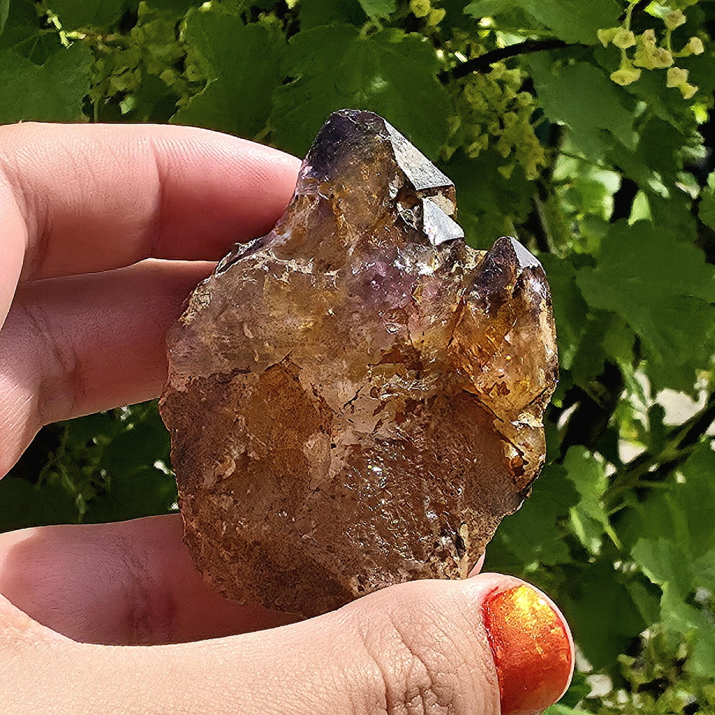 Natural Bolivian Ametrine Specimen | Raw Purple Gold Crystal | Collector Mineral Display Decor