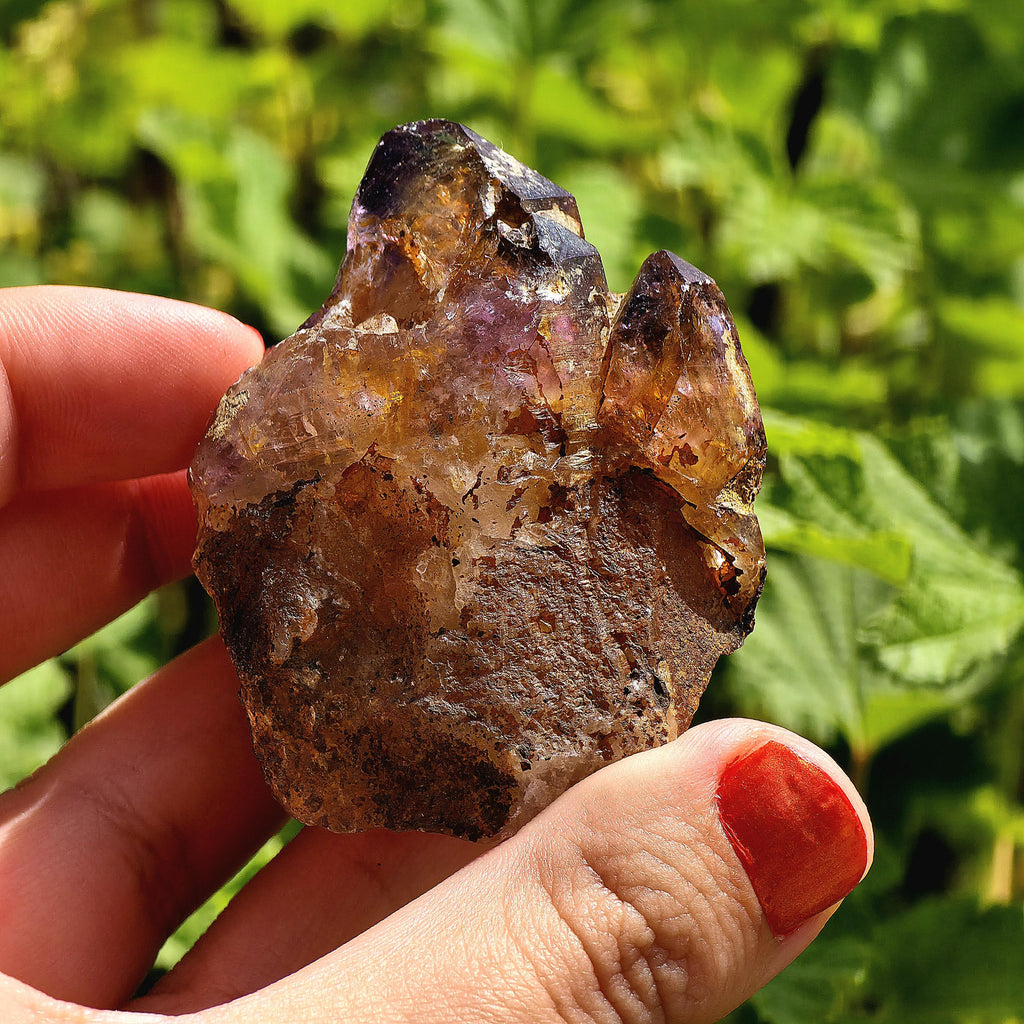 Natural Bolivian Ametrine Specimen | Raw Purple Gold Crystal | Collector Mineral Display Decor
