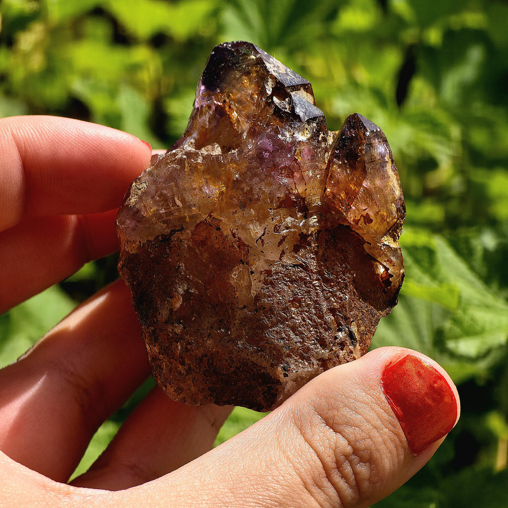 Natural Bolivian Ametrine Specimen | Raw Purple Gold Crystal | Collector Mineral Display Decor