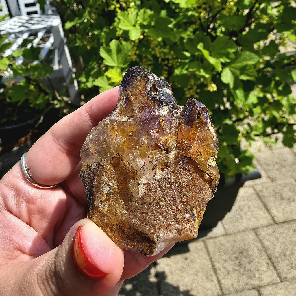 Natural Bolivian Ametrine Specimen | Raw Purple Gold Crystal | Collector Mineral Display Decor