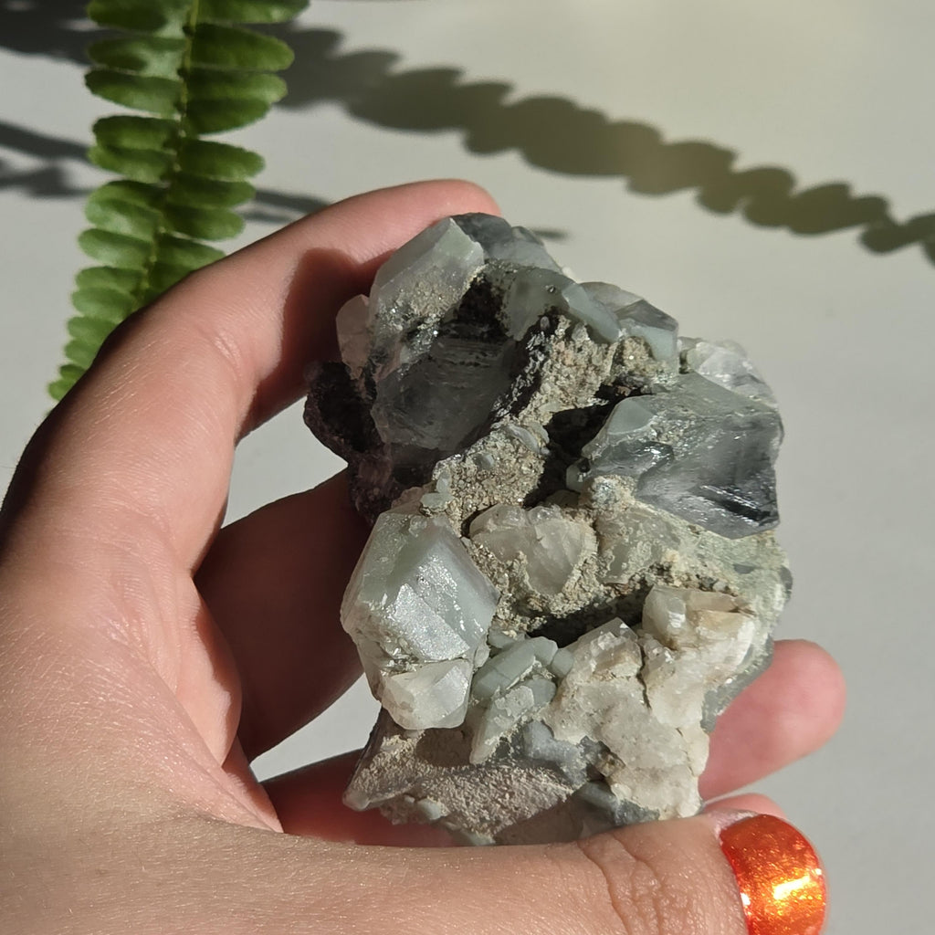 Swiss Alpine Chlorite Quartz Cluster | Green Chlorite Quartz | Alpine Quartz Specimen | Swiss Alps Crystal