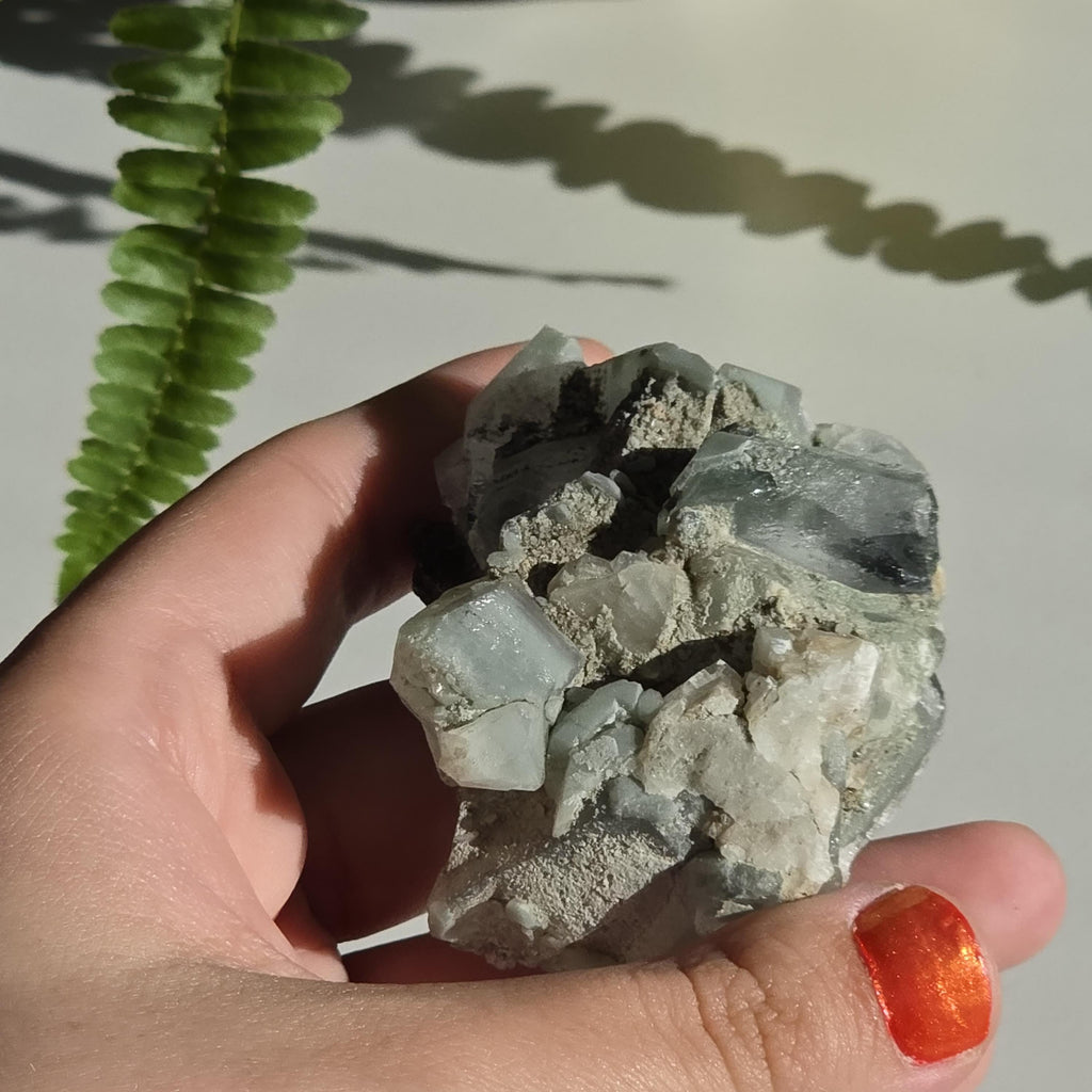 Swiss Alpine Chlorite Quartz Cluster | Green Chlorite Quartz | Alpine Quartz Specimen | Swiss Alps Crystal