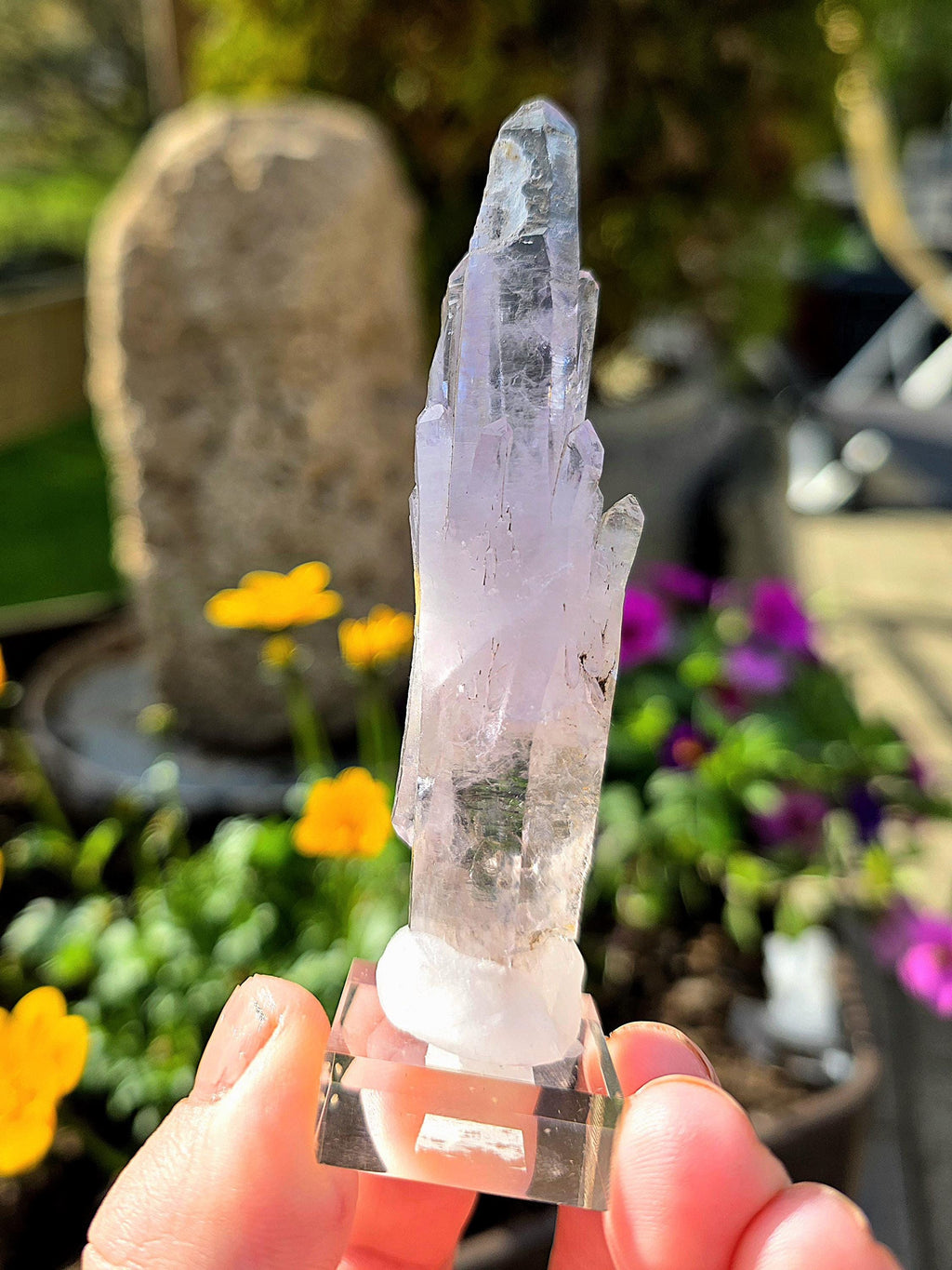 Vera Cruz Amethyst Cluster | Los Vigas Mine Mexico | Elongated Quartz Crystal Specimen Decor