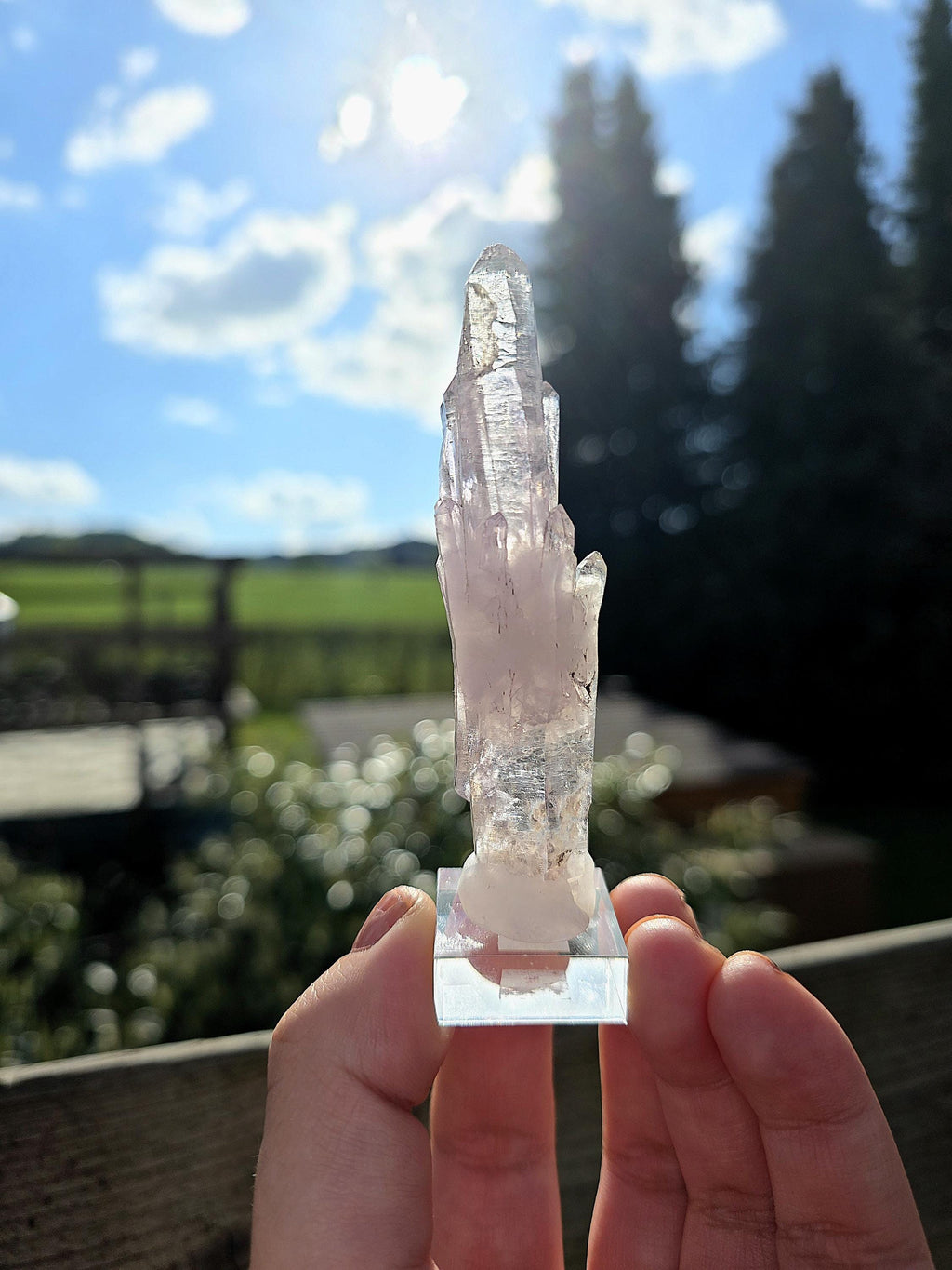 Vera Cruz Amethyst Cluster | Los Vigas Mine Mexico | Elongated Quartz Crystal Specimen Decor