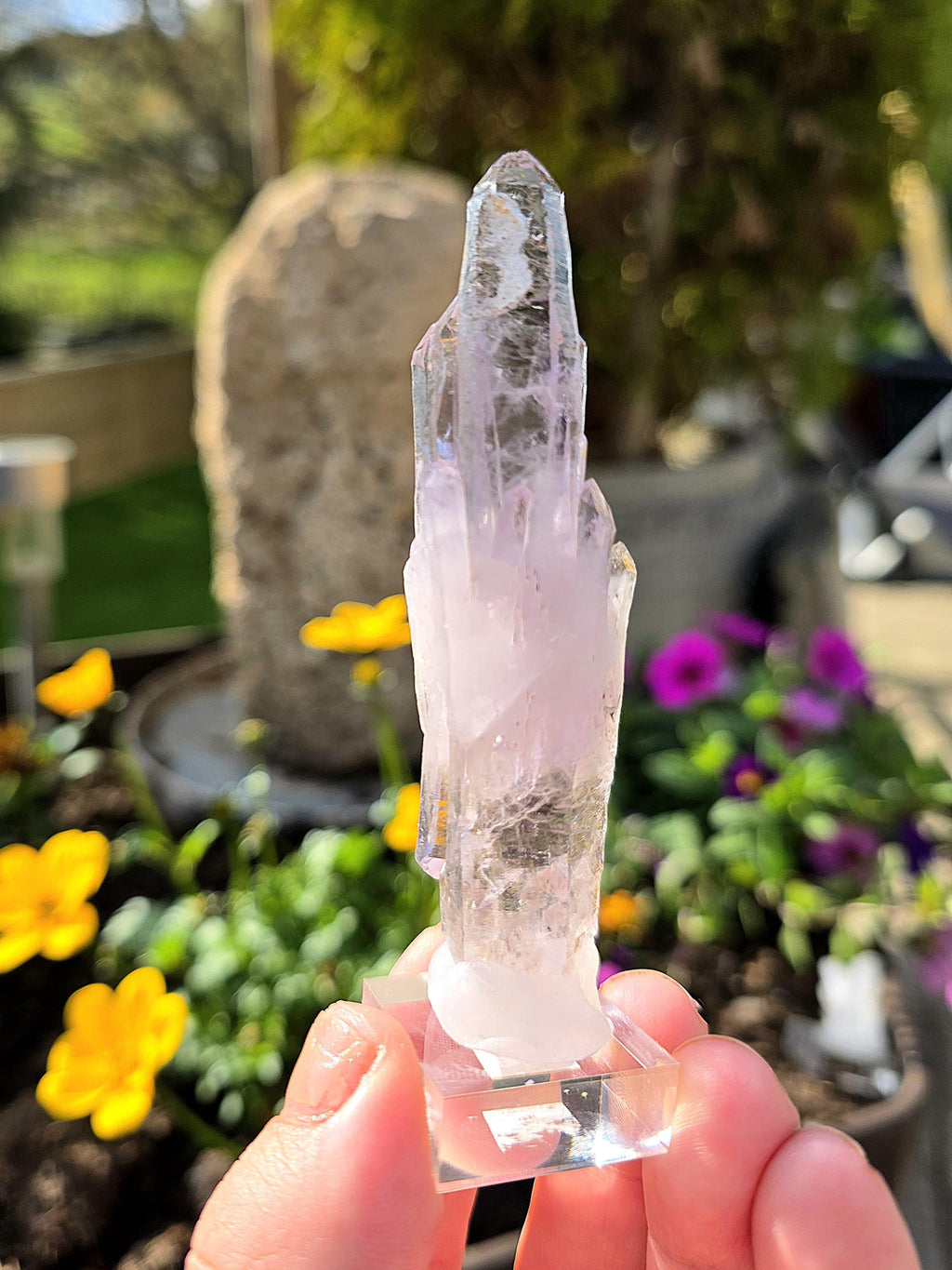 Vera Cruz Amethyst Cluster | Los Vigas Mine Mexico | Elongated Quartz Crystal Specimen Decor