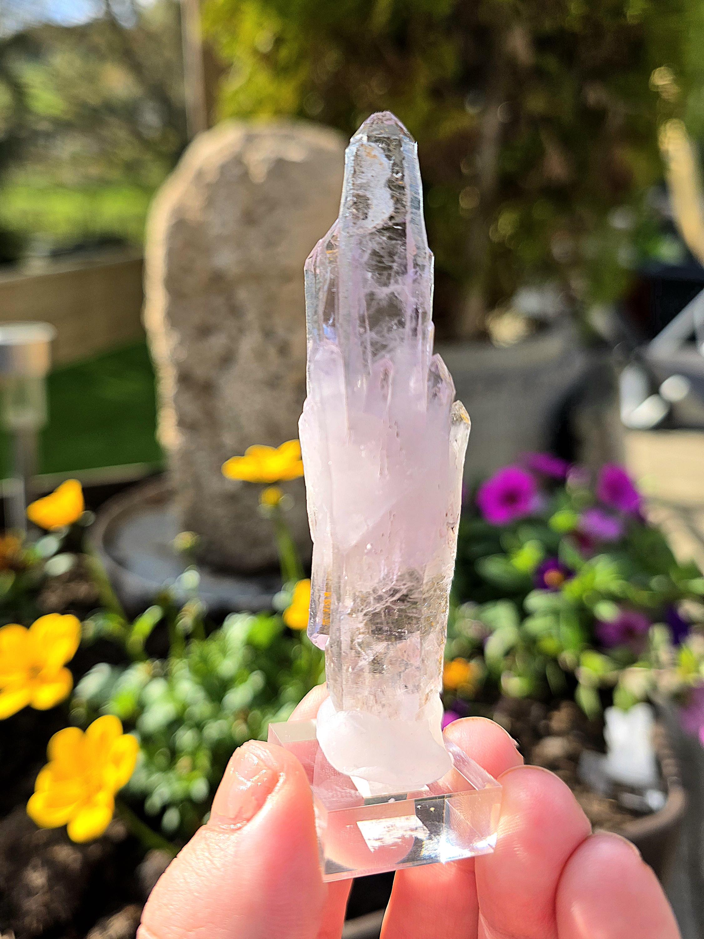 Vera Cruz Amethyst Cluster | Los Vigas Mine Mexico | Elongated Quartz Crystal Specimen Decor