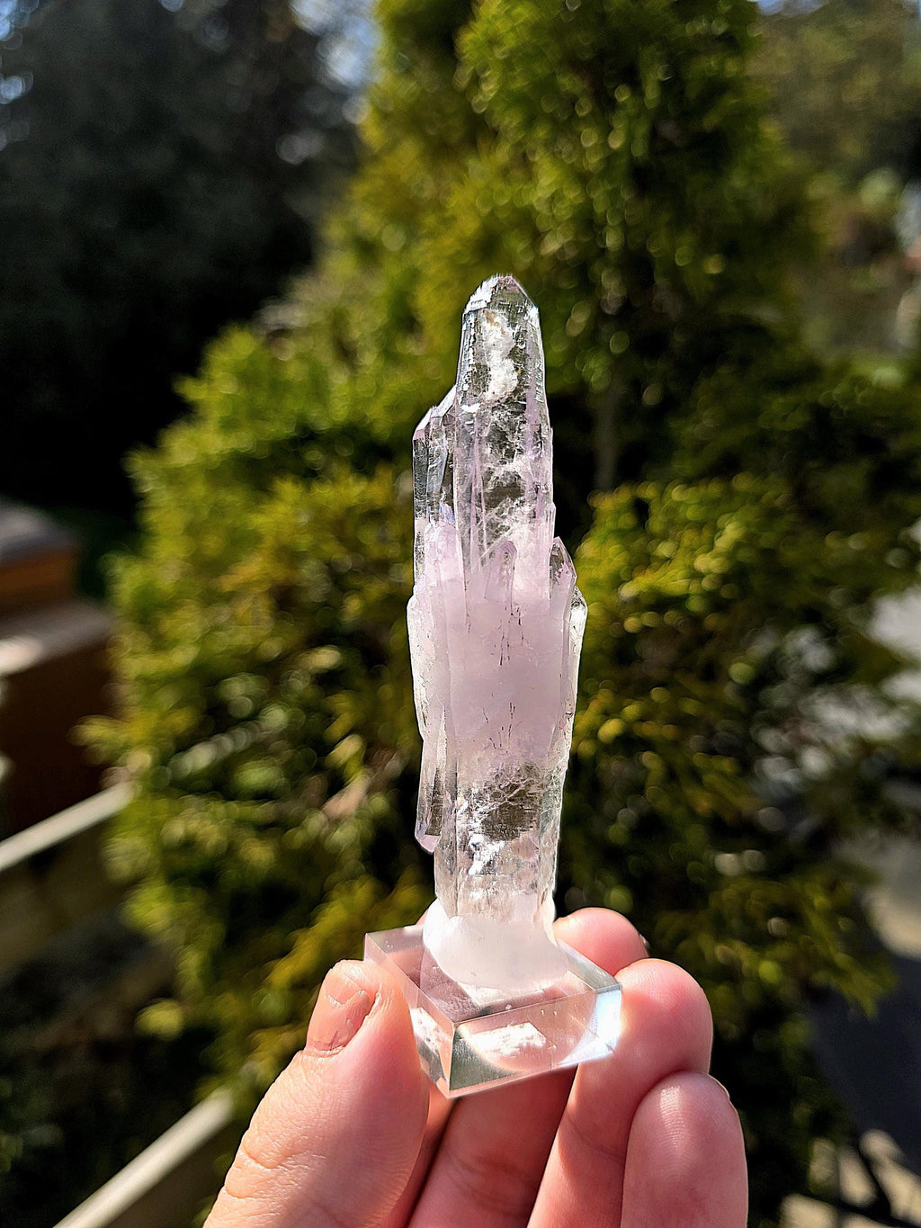 Vera Cruz Amethyst Cluster | Los Vigas Mine Mexico | Elongated Quartz Crystal Specimen Decor