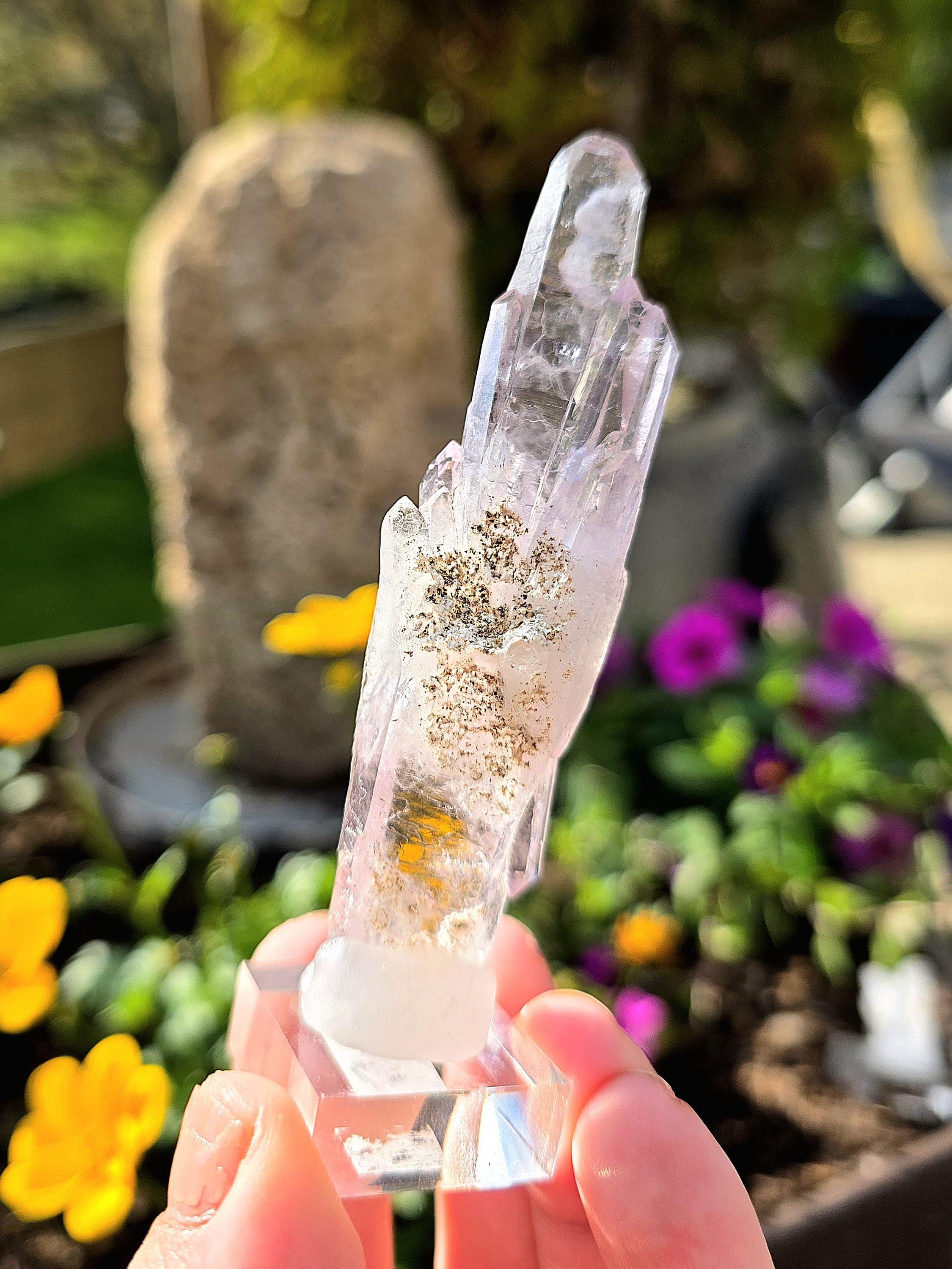 Vera Cruz Amethyst Cluster | Los Vigas Mine Mexico | Elongated Quartz Crystal Specimen Decor