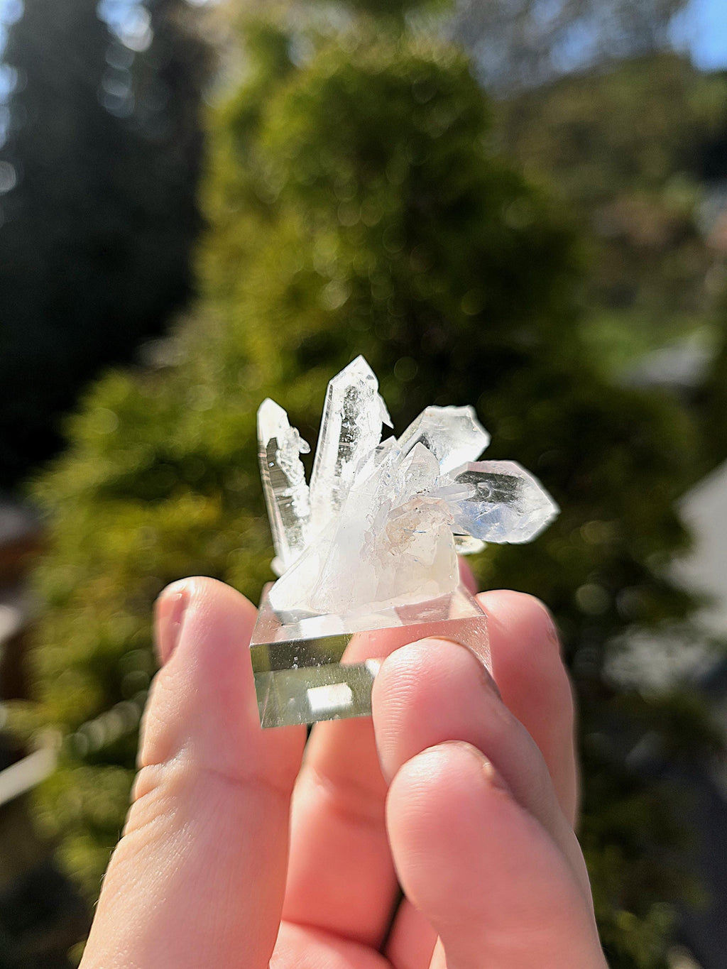 Brazilian Clear Quartz Cluster on Stand | Natural Quartz Crystal Specimen | Collector Display Mineral Decor