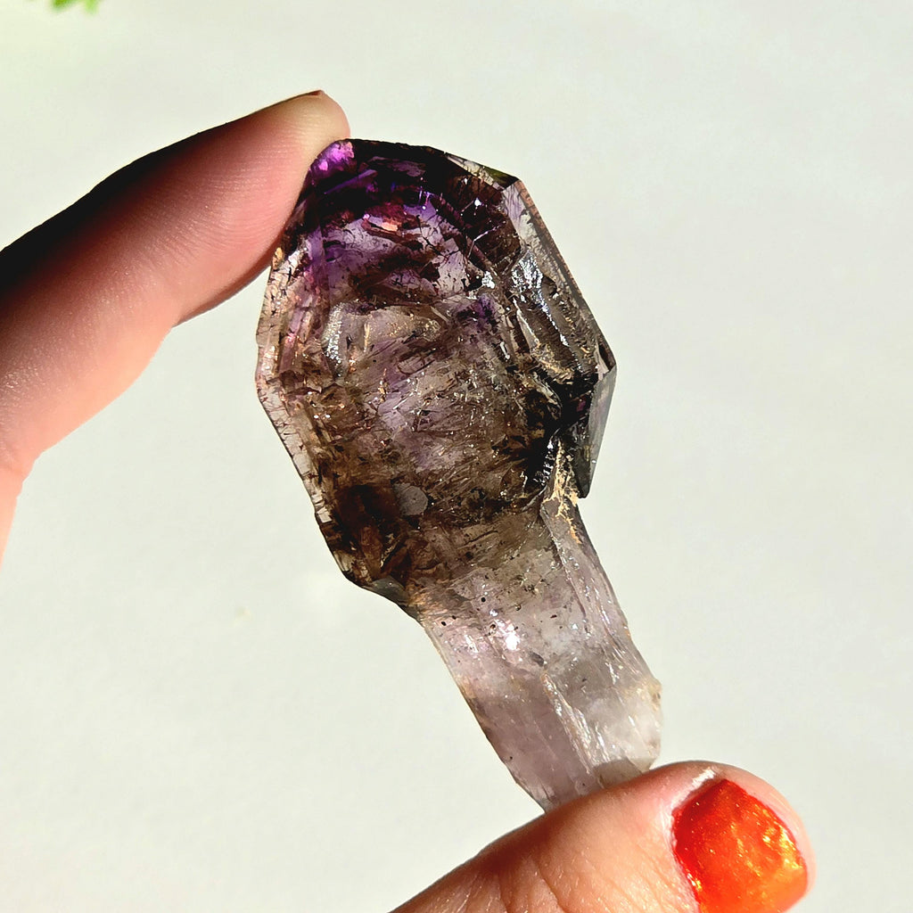 Natural Amethyst Scepter Crystal | Unique Quartz Growth Formation | Collector Mineral Specimen