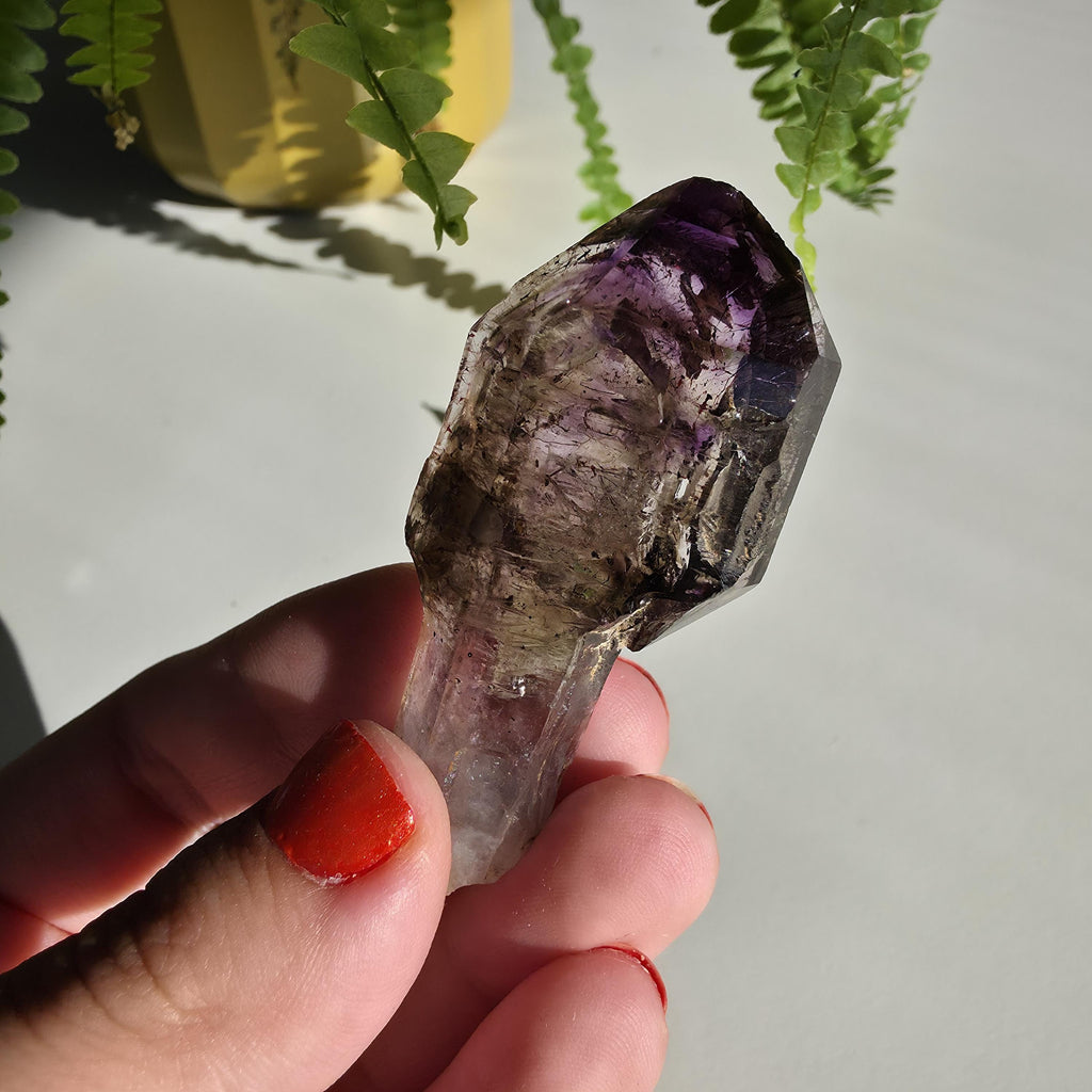 Natural Amethyst Scepter Crystal | Unique Quartz Growth Formation | Collector Mineral Specimen