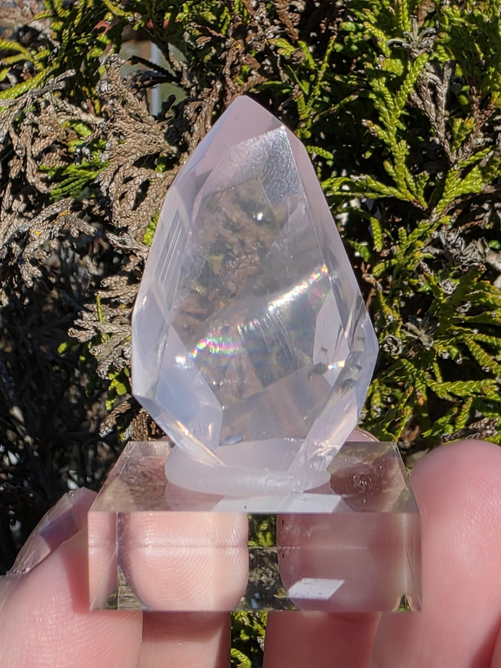 Mozambique Rose Quartz Freeform | Gem Quality Pink Quartz | Polished Crystal Decor