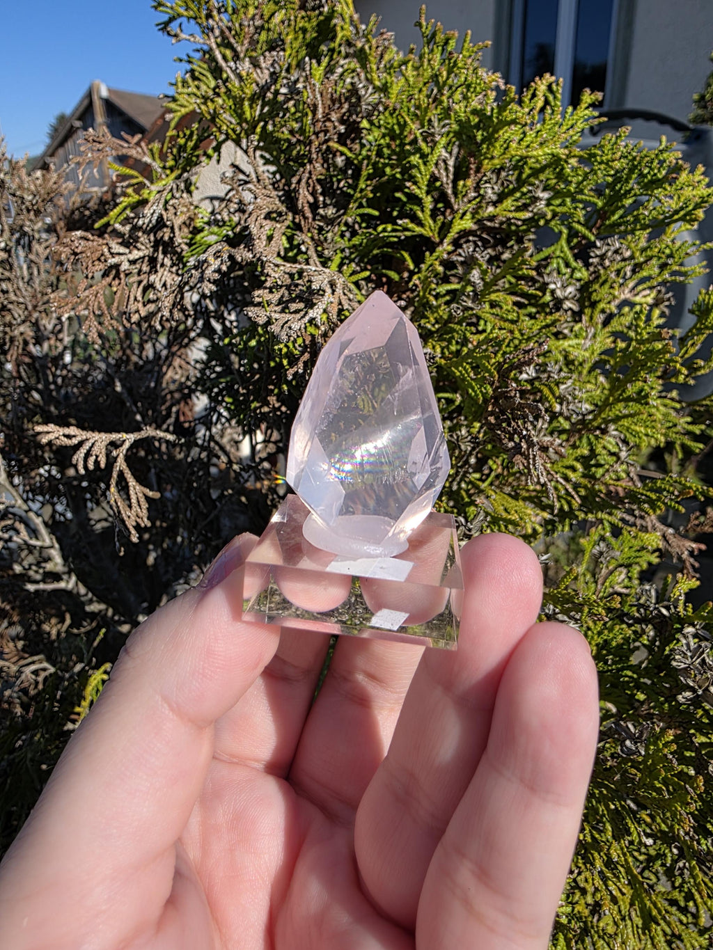 Mozambique Rose Quartz Freeform | Gem Quality Pink Quartz | Polished Crystal Decor