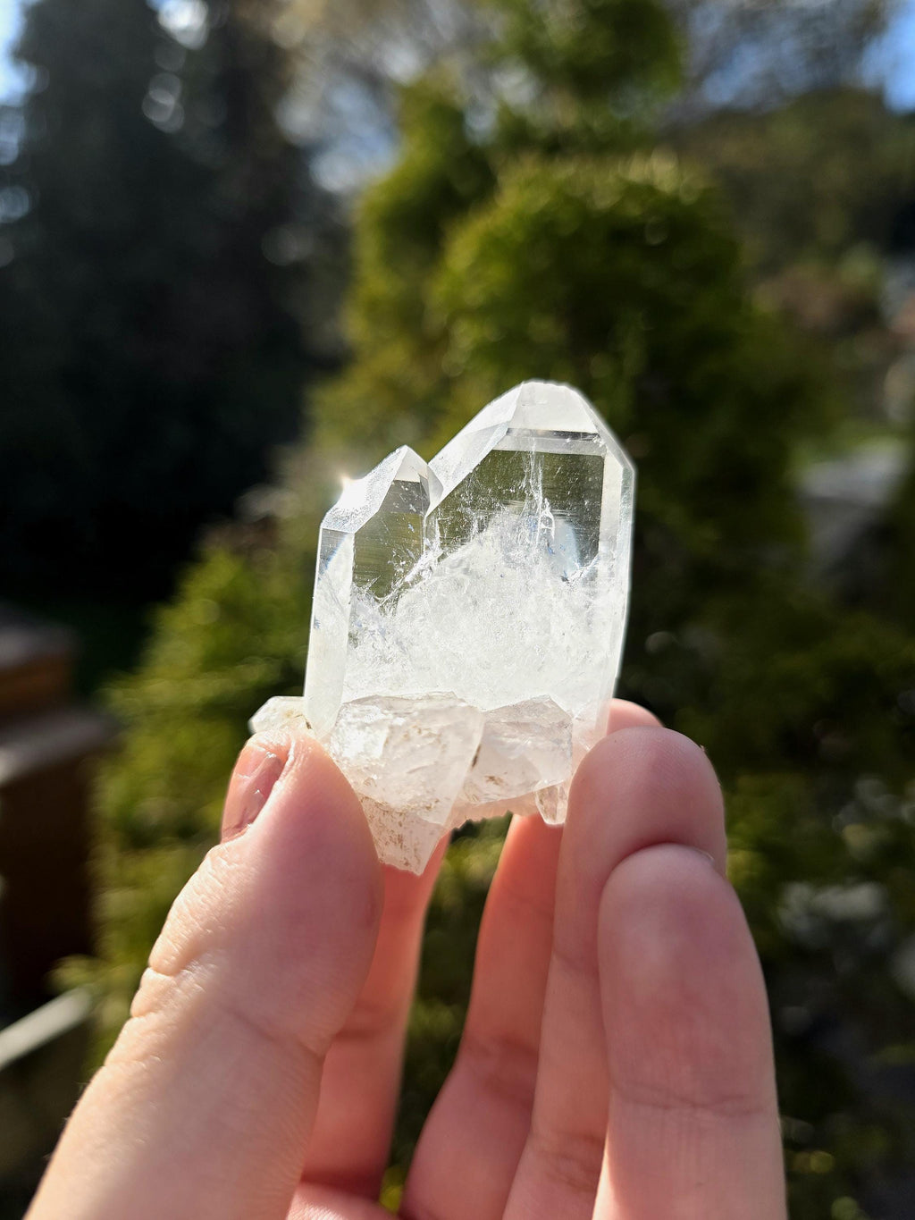 Himalayan Clear Quartz Cluster, Flat Face Quartz Point, Natural Quartz Crystal, Collector Mineral Specimen, Raw Quartz Decor