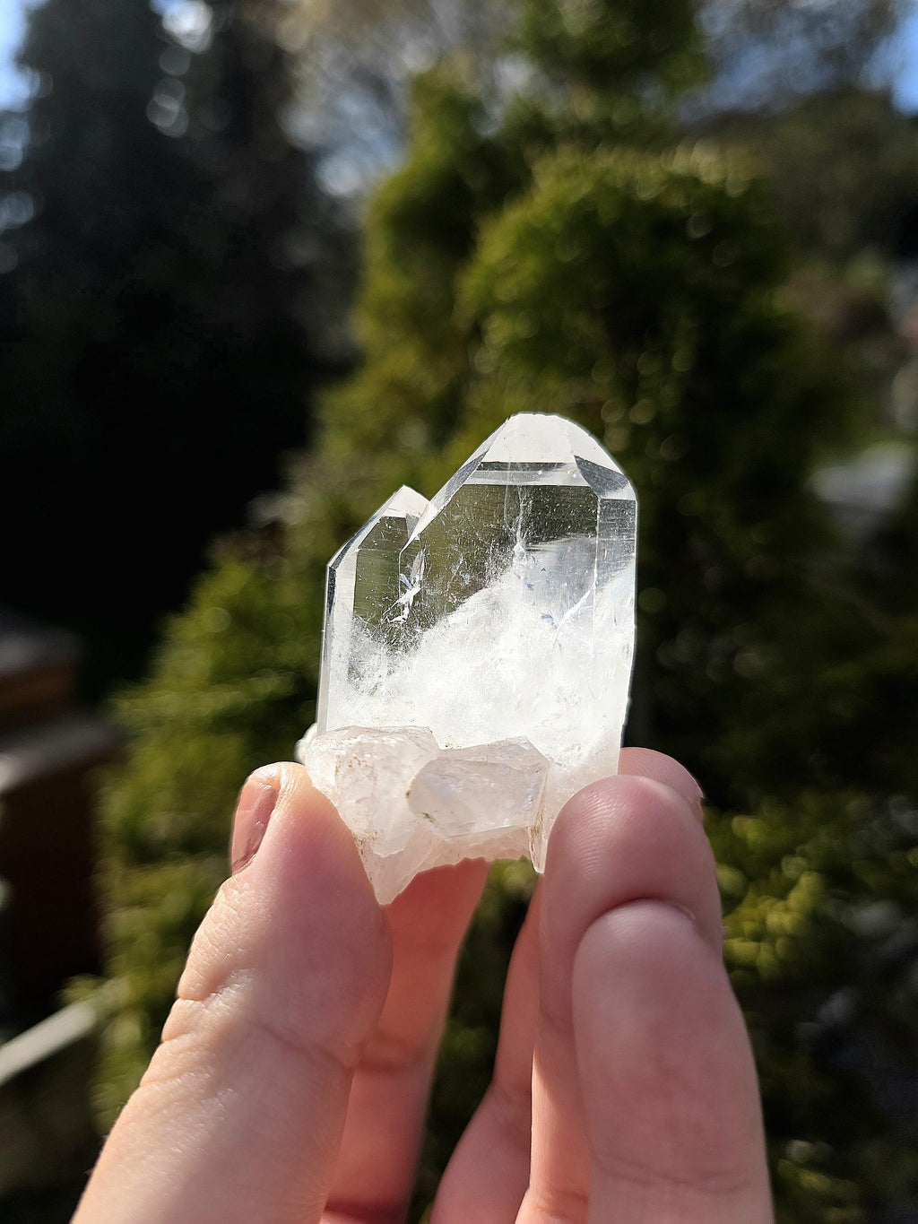 Himalayan Clear Quartz Cluster, Flat Face Quartz Point, Natural Quartz Crystal, Collector Mineral Specimen, Raw Quartz Decor