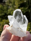 Himalayan Clear Quartz Cluster, Flat Face Quartz Point, Natural Quartz Crystal, Collector Mineral Specimen, Raw Quartz Decor
