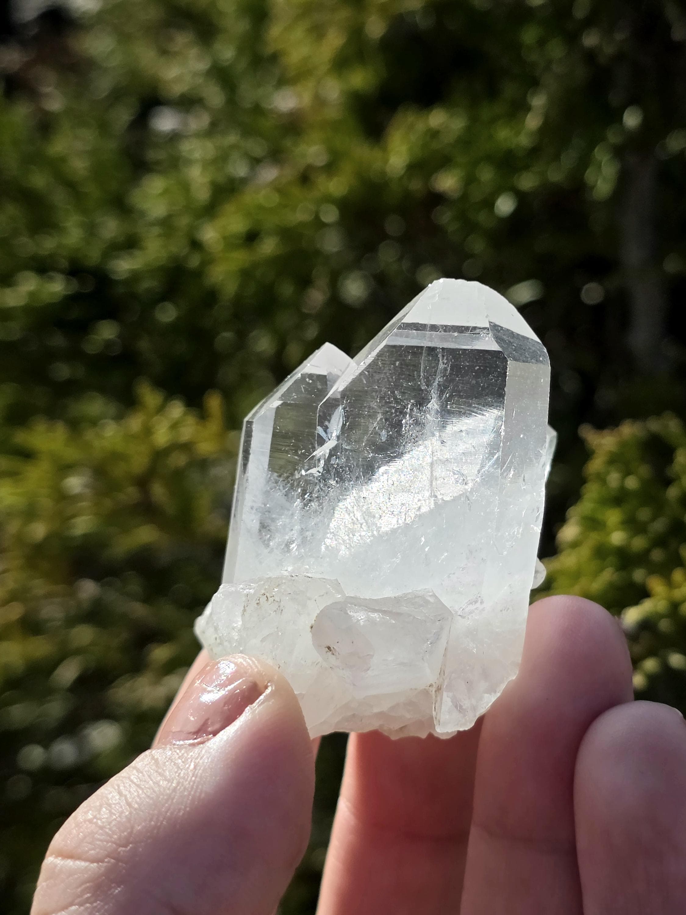 Himalayan Clear Quartz Cluster, Flat Face Quartz Point, Natural Quartz Crystal, Collector Mineral Specimen, Raw Quartz Decor