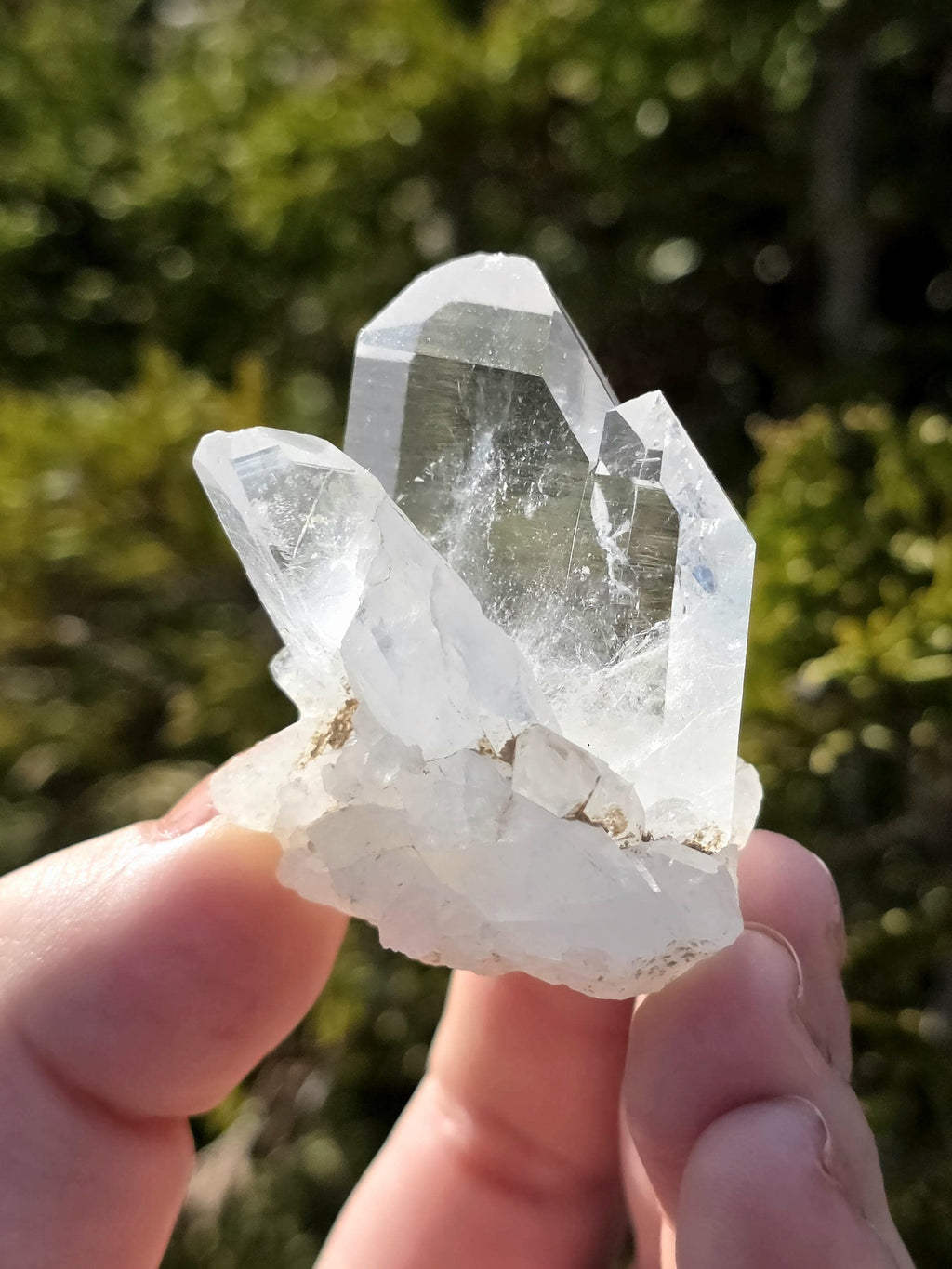 Himalayan Clear Quartz Cluster, Flat Face Quartz Point, Natural Quartz Crystal, Collector Mineral Specimen, Raw Quartz Decor