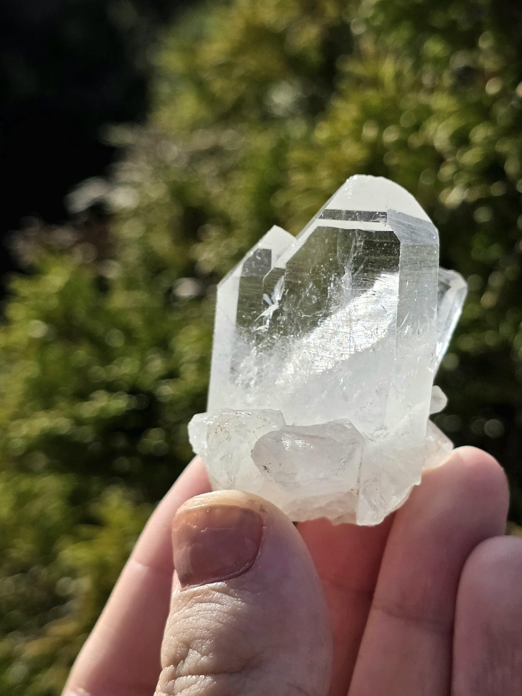 Himalayan Clear Quartz Cluster, Flat Face Quartz Point, Natural Quartz Crystal, Collector Mineral Specimen, Raw Quartz Decor