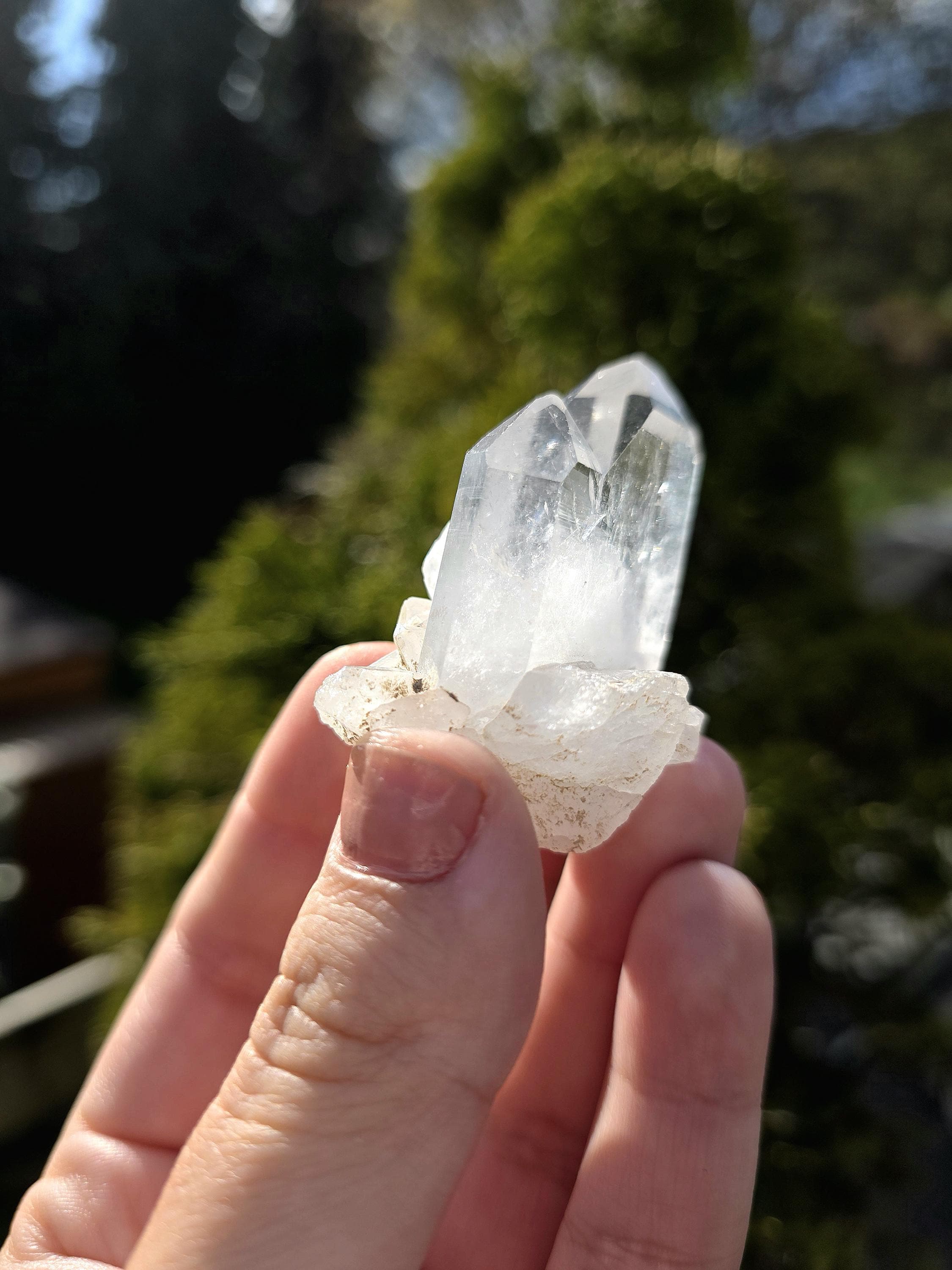 Himalayan Clear Quartz Cluster, Flat Face Quartz Point, Natural Quartz Crystal, Collector Mineral Specimen, Raw Quartz Decor