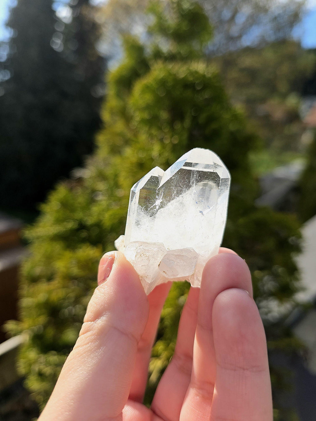 Himalayan Clear Quartz Cluster, Flat Face Quartz Point, Natural Quartz Crystal, Collector Mineral Specimen, Raw Quartz Decor