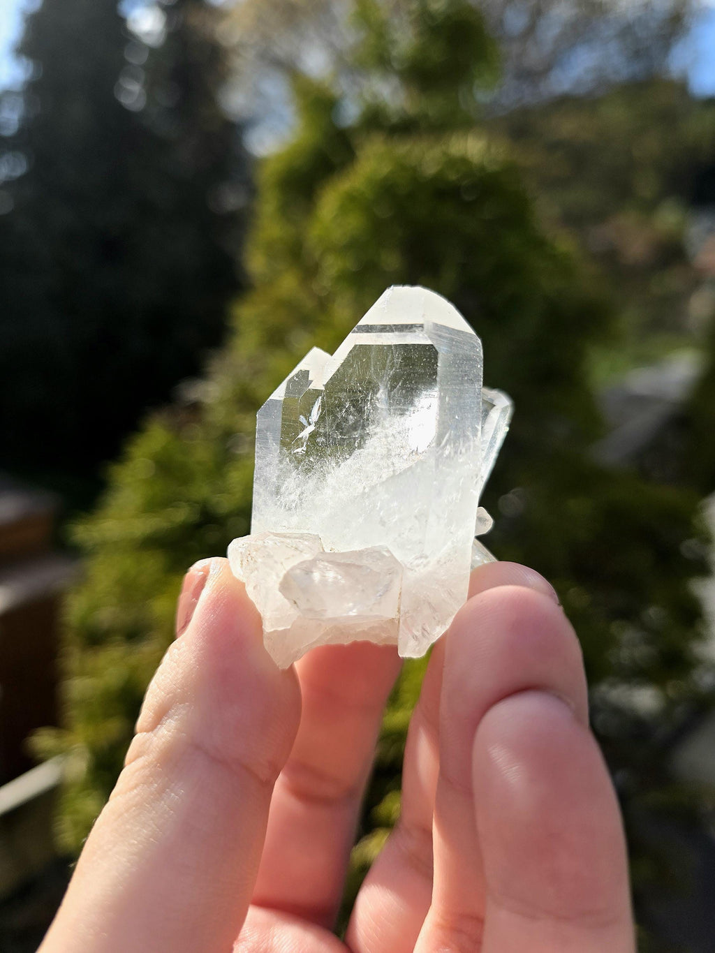 Himalayan Clear Quartz Cluster, Flat Face Quartz Point, Natural Quartz Crystal, Collector Mineral Specimen, Raw Quartz Decor