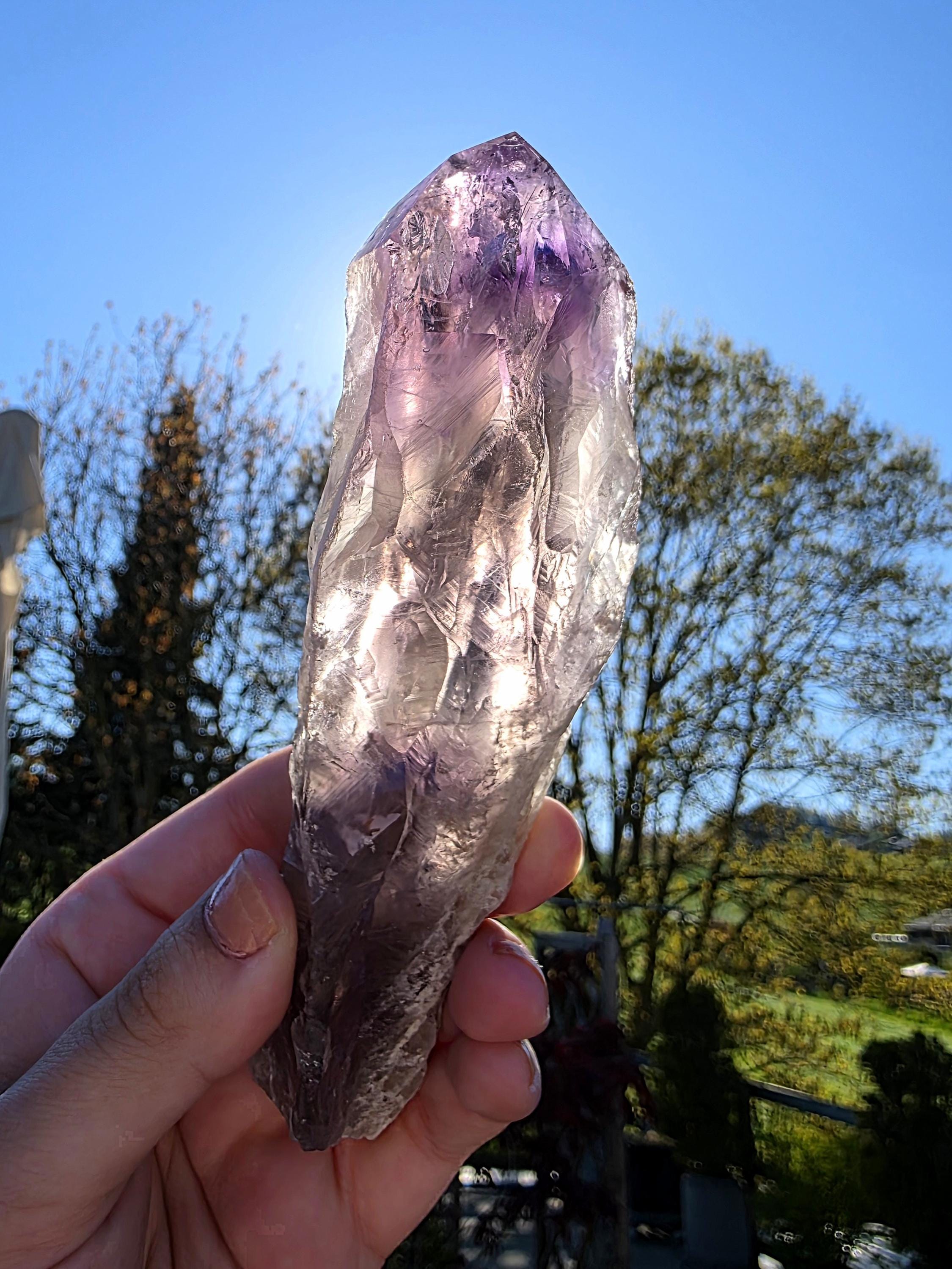 Bahia Amethyst Root Dragon Tooth | Raw Amethyst Point | Purple Quartz Crystal Specimen