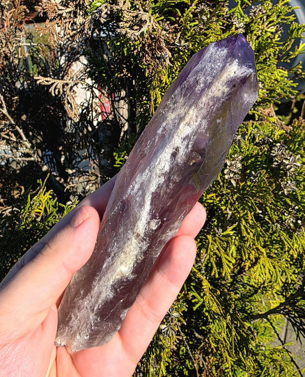 Bahia Amethyst Root Dragon Tooth | Raw Amethyst Point | Purple Quartz Crystal Specimen
