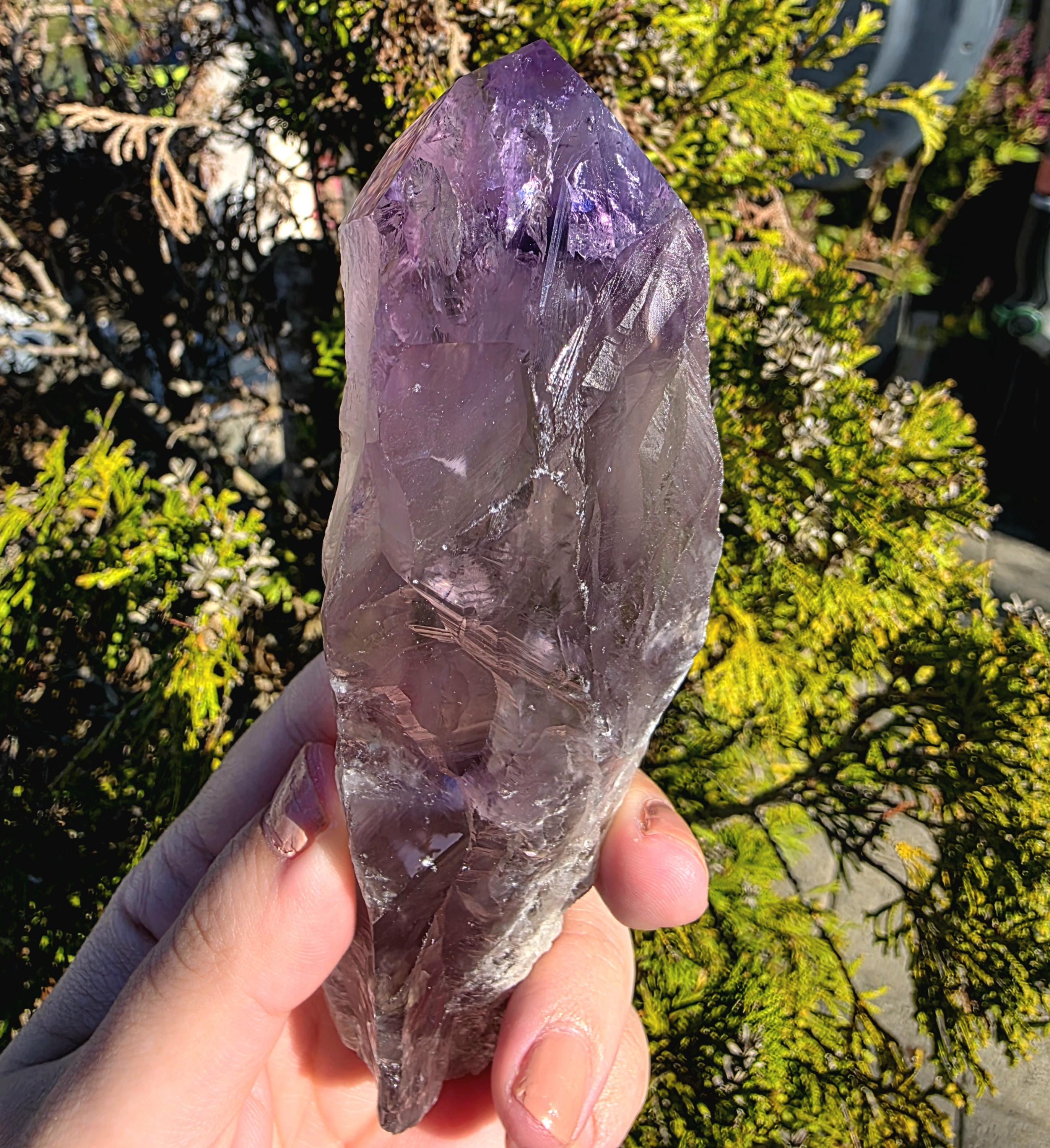 Bahia Amethyst Root Dragon Tooth | Raw Amethyst Point | Purple Quartz Crystal Specimen