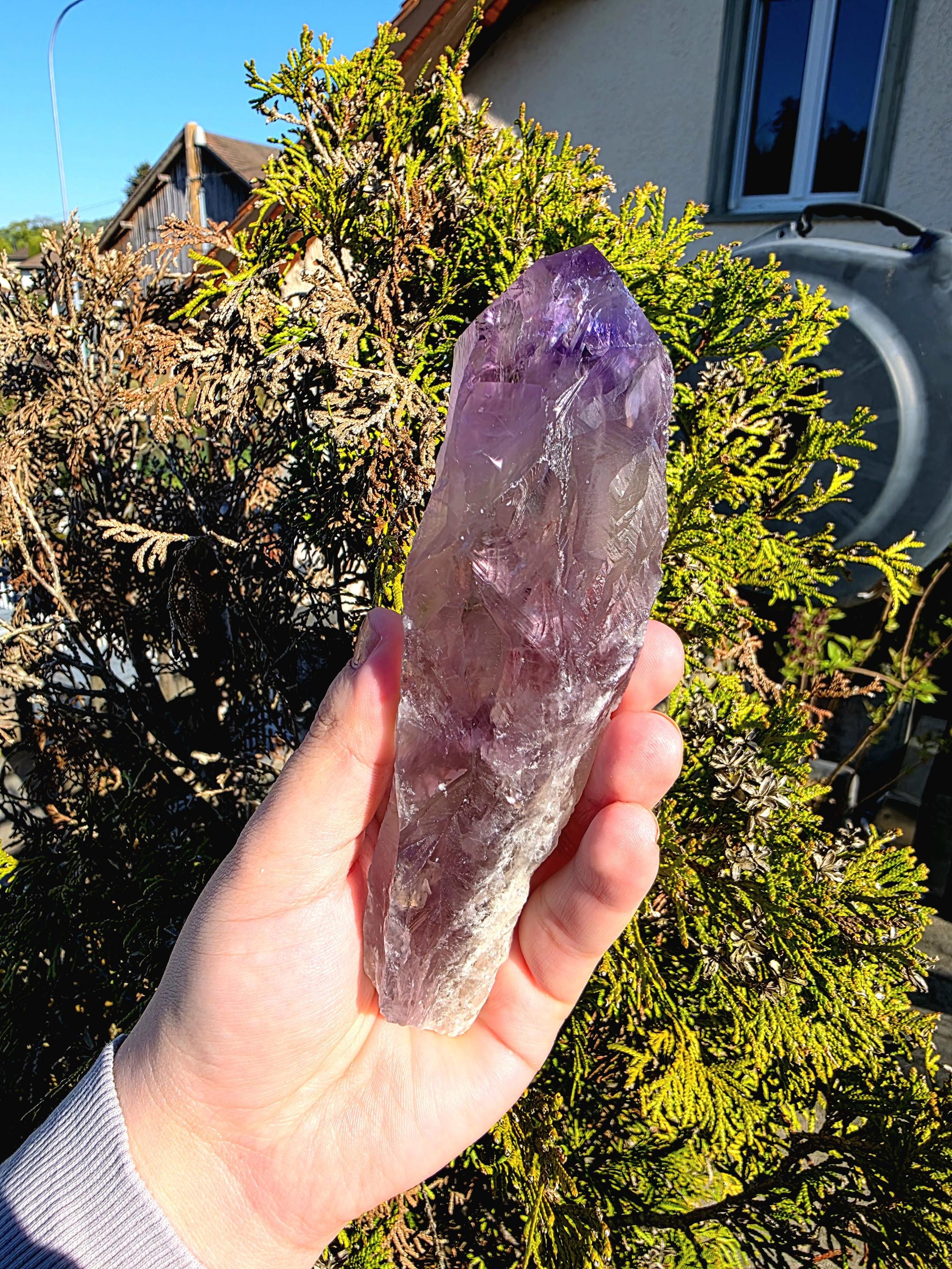 Bahia Amethyst Root Dragon Tooth | Raw Amethyst Point | Purple Quartz Crystal Specimen