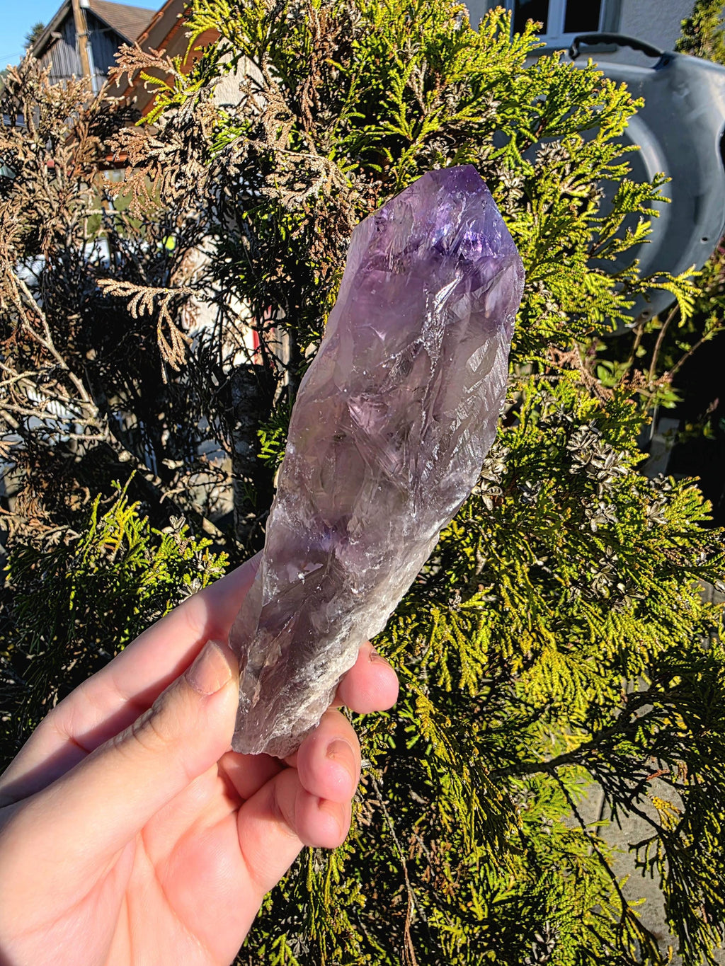 Bahia Amethyst Root Dragon Tooth | Raw Amethyst Point | Purple Quartz Crystal Specimen