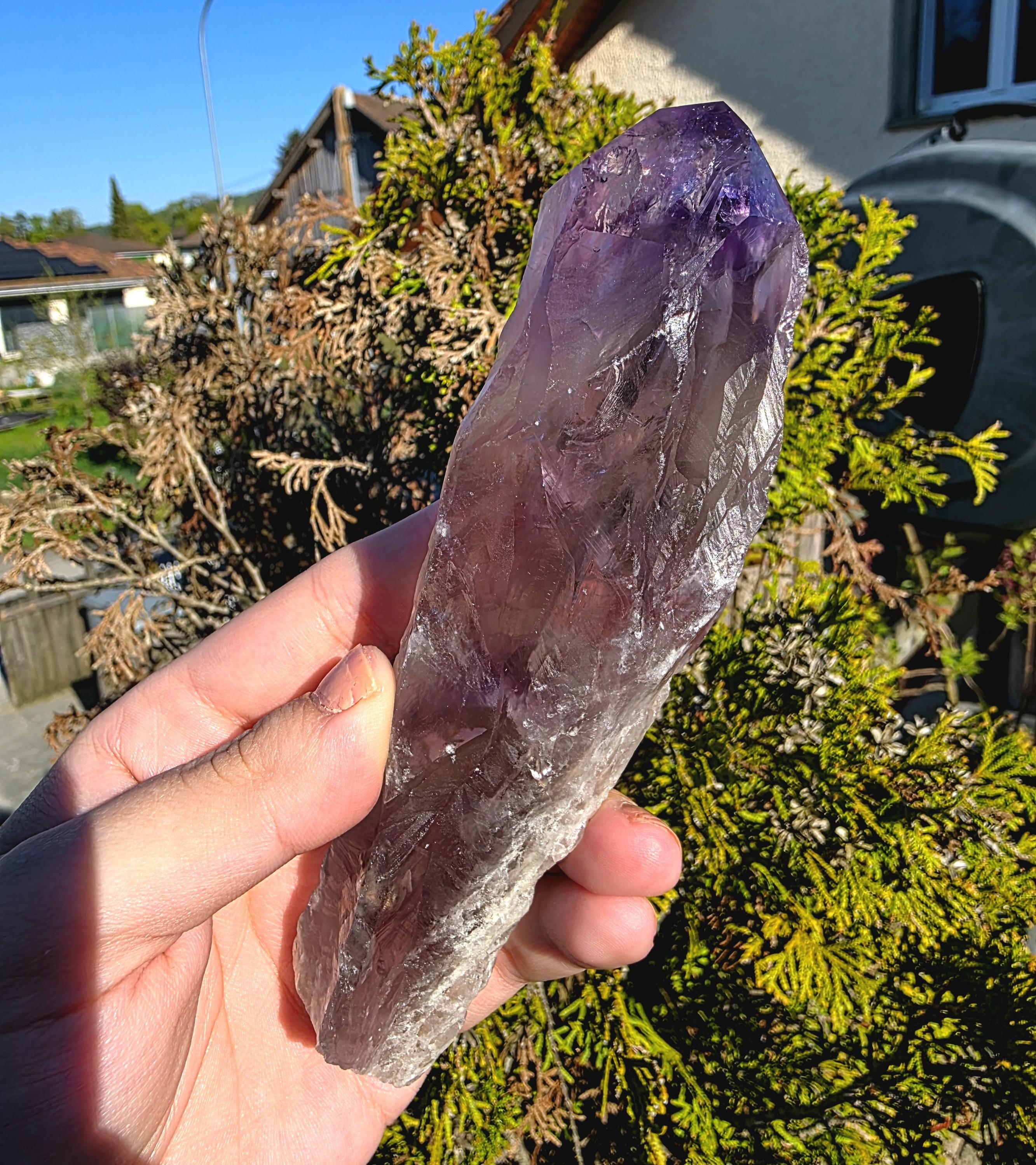 Bahia Amethyst Root Dragon Tooth | Raw Amethyst Point | Purple Quartz Crystal Specimen