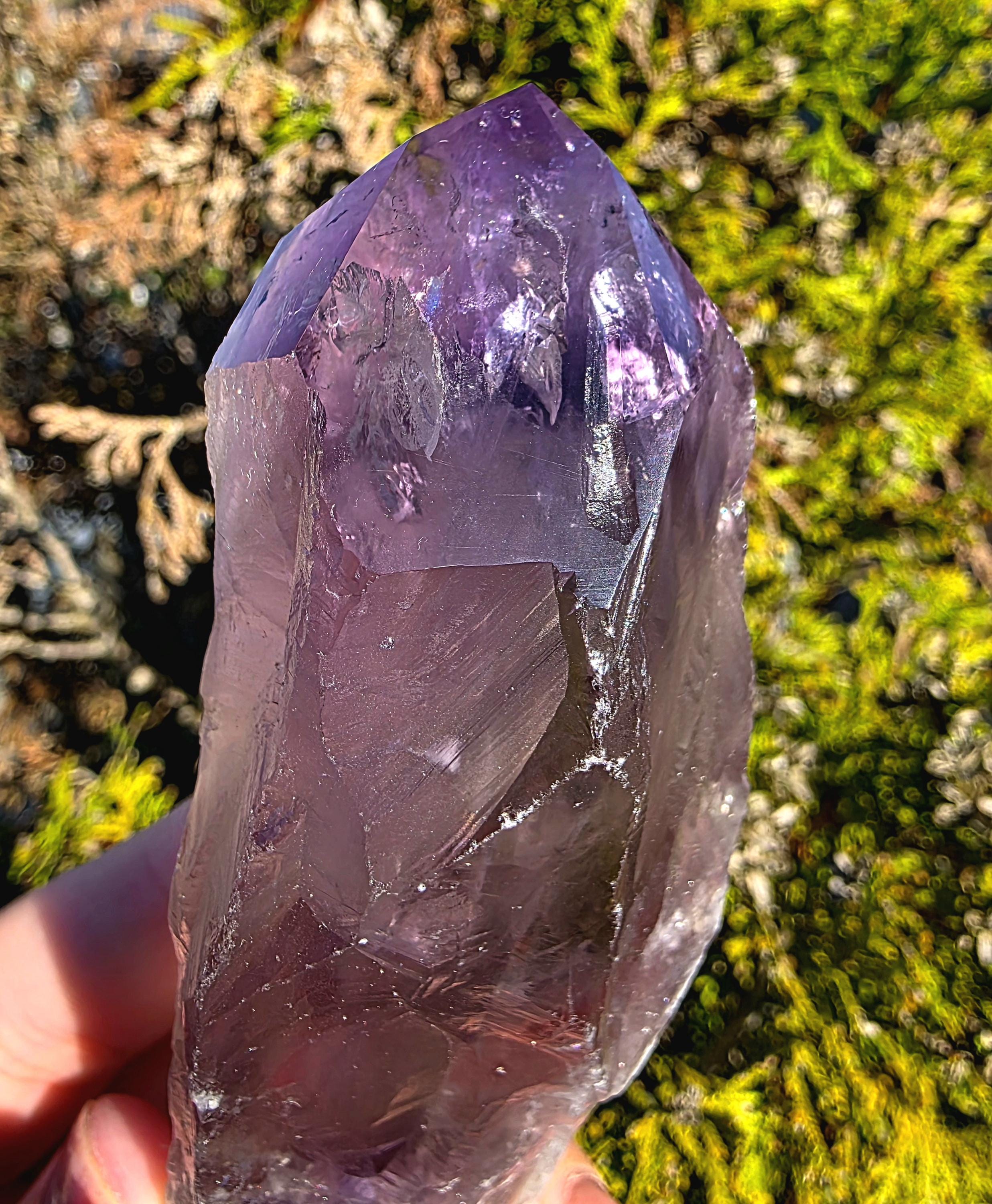 Bahia Amethyst Root Dragon Tooth | Raw Amethyst Point | Purple Quartz Crystal Specimen
